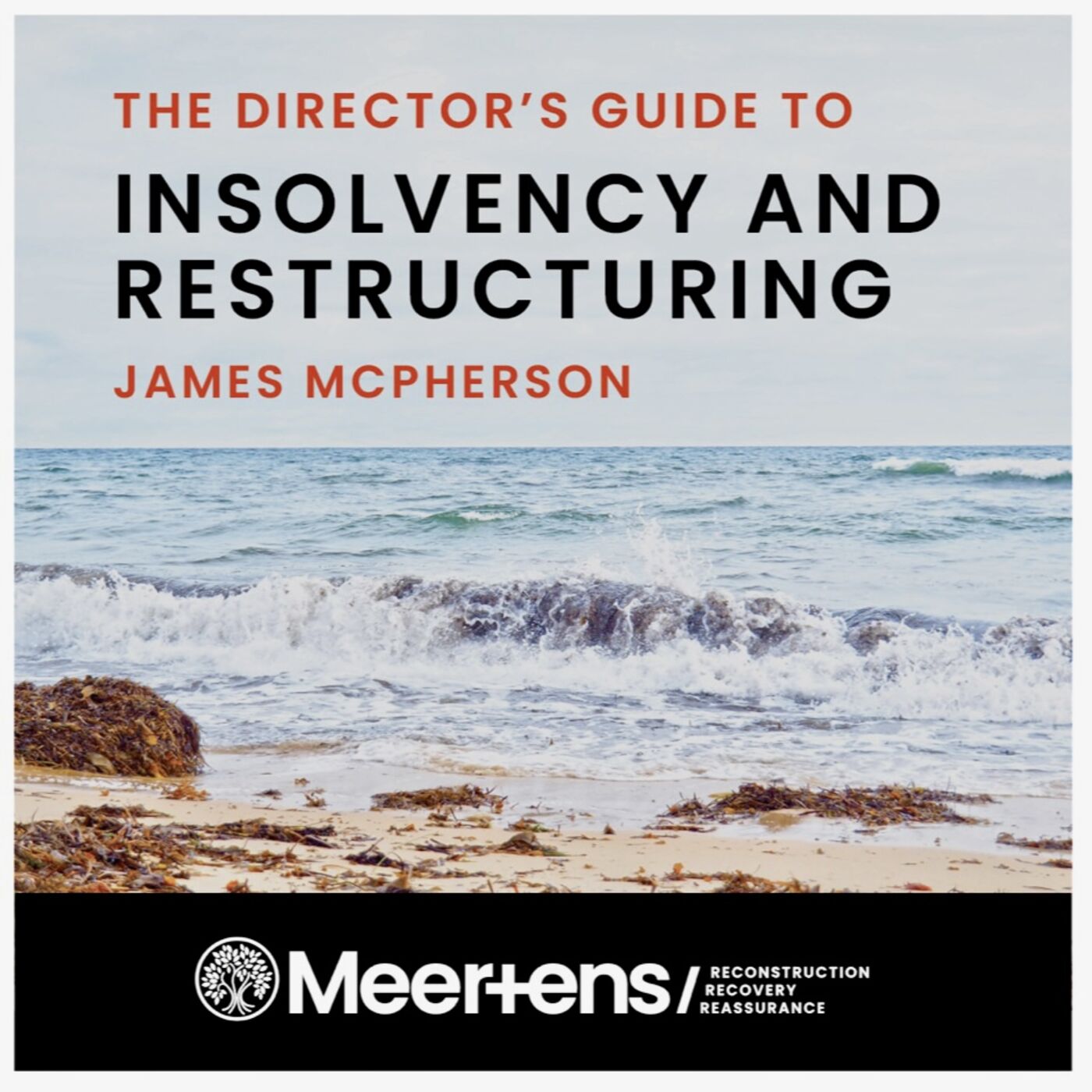 The Director's Guide To Insolvency and Restructuring