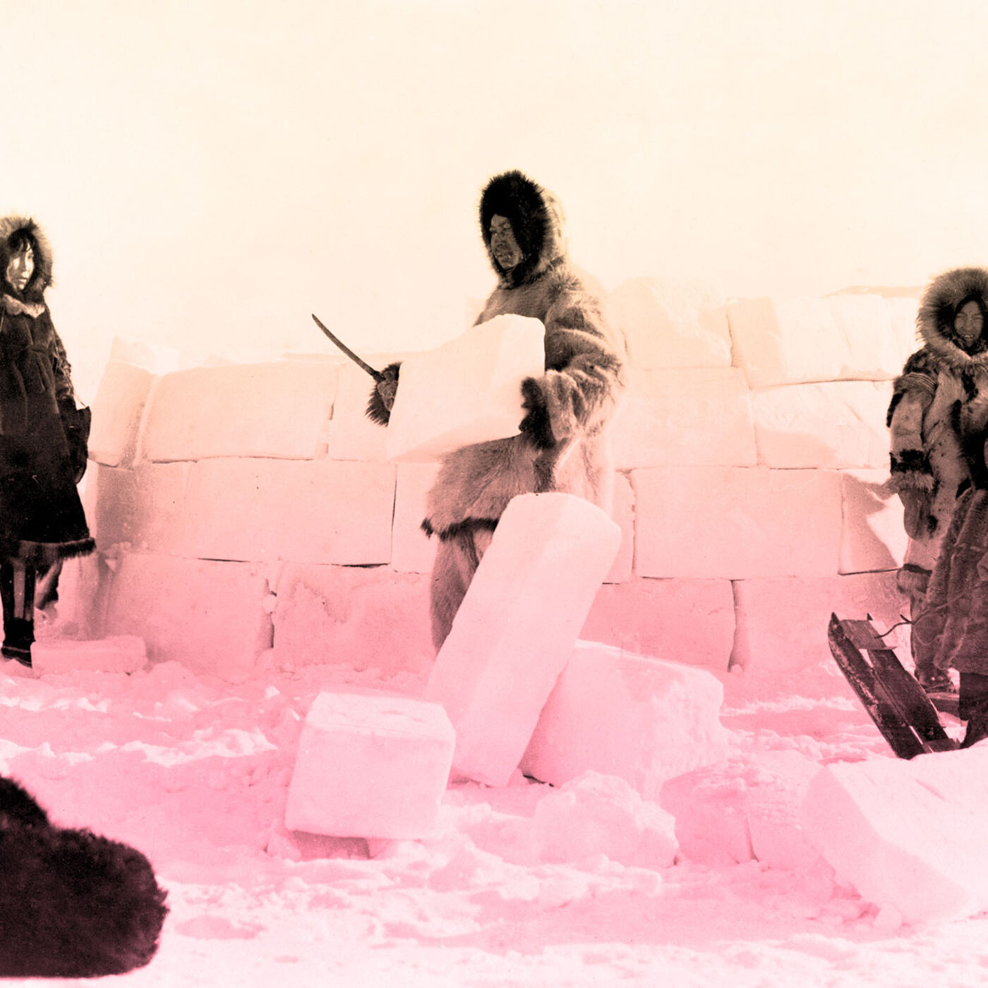 How Genetic Adaptation Helped Humans Colonise the Globe