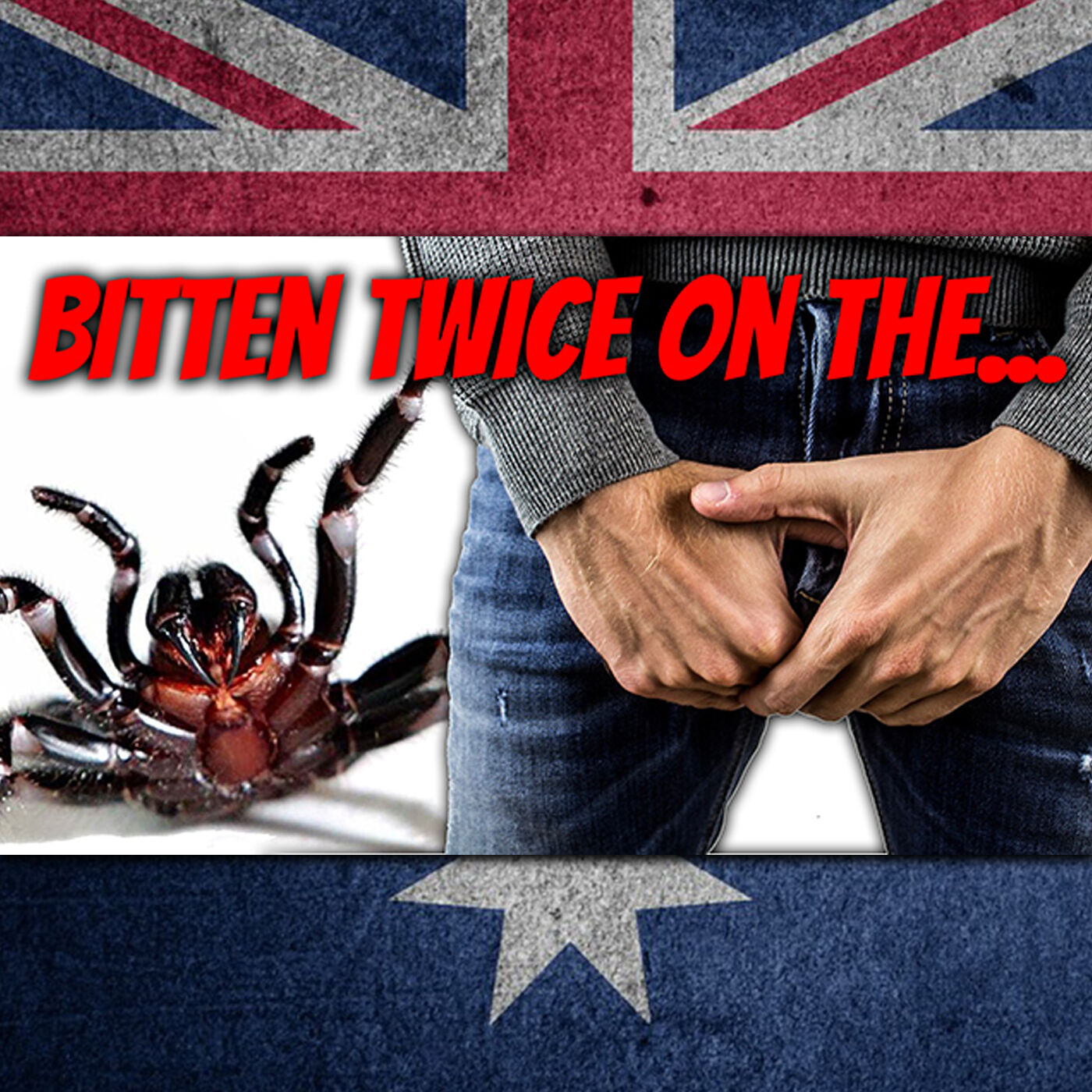 AE 526 - My Country: Spider bites man twice on the...