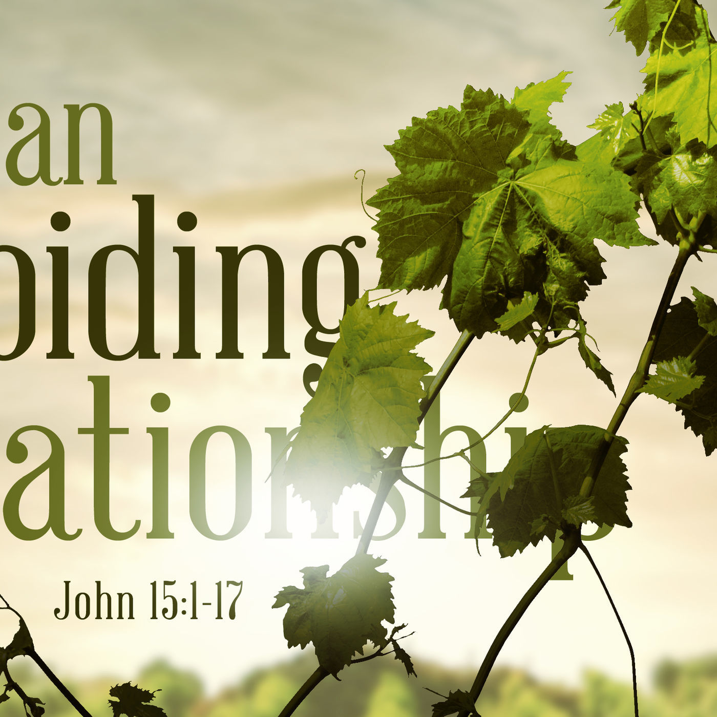 Walking with Jesus- John Part 19: An Abiding Relationship
