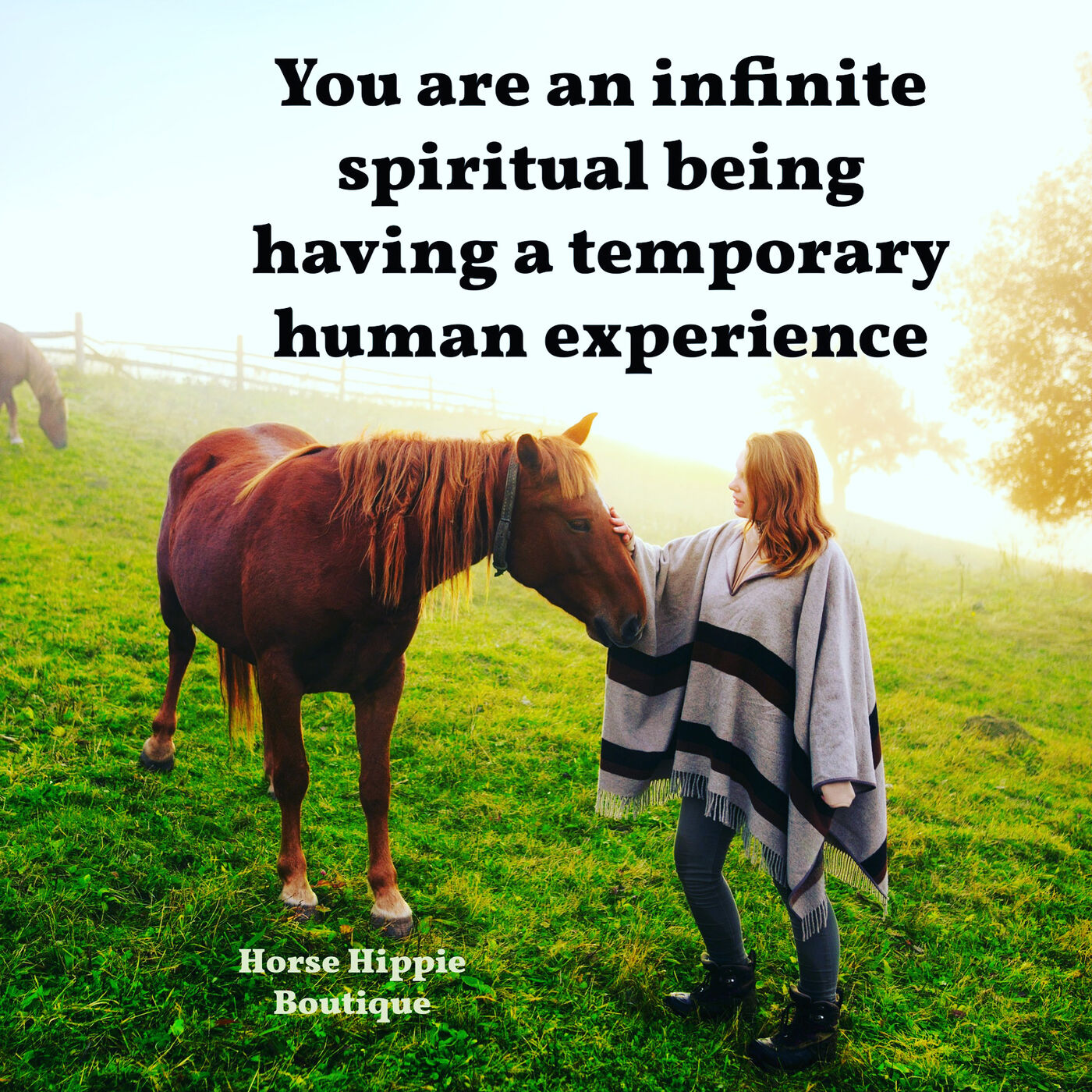 The Human Experience