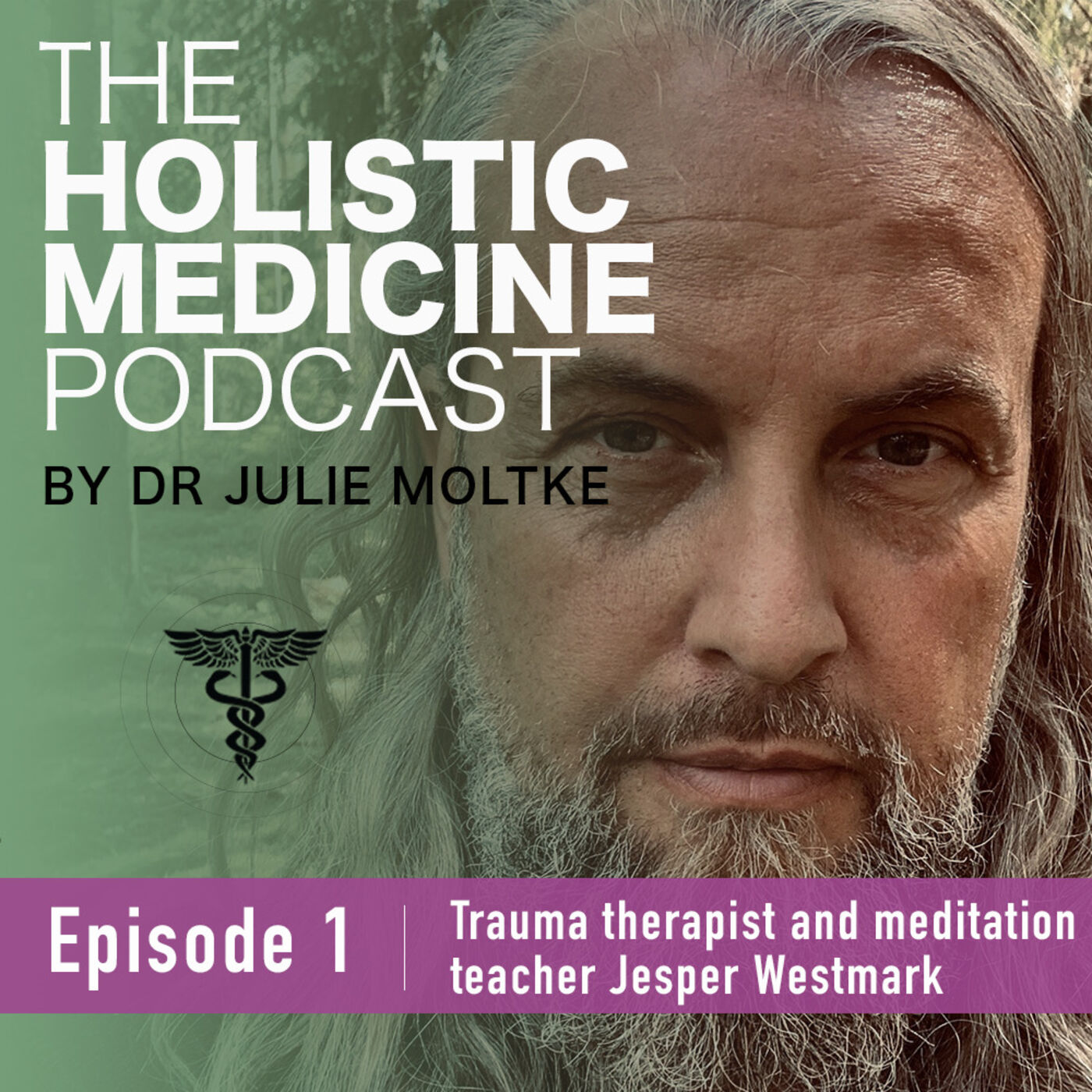 The Holistic Medicine Podcast by Dr Julie Moltke