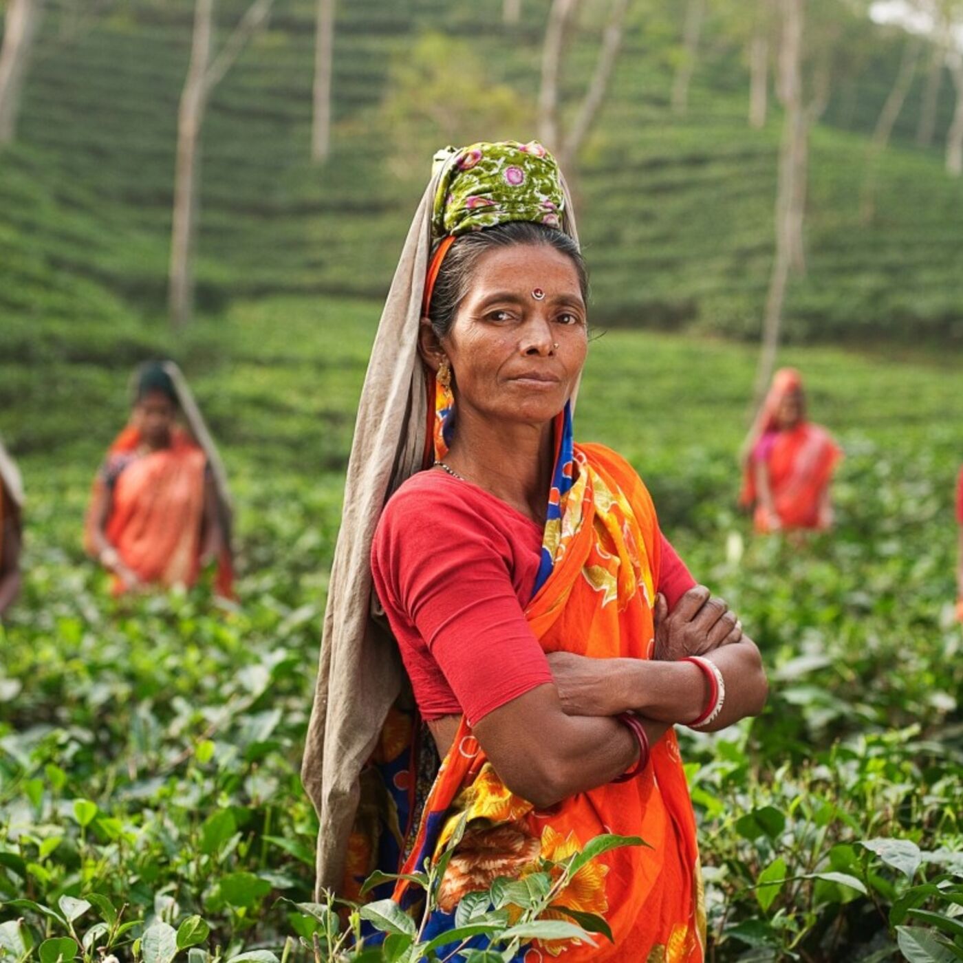 Sahib Sharma (CreditAccess Grameen) on Indian microfinance