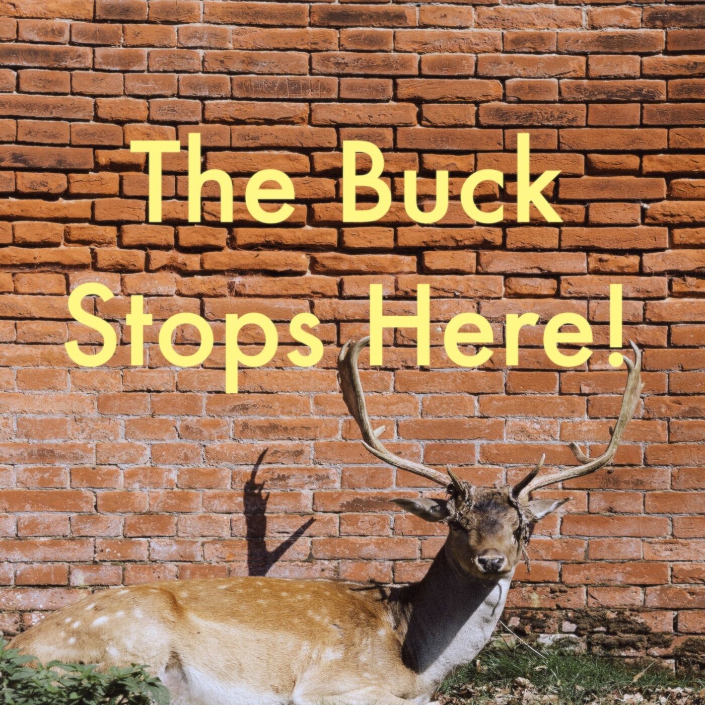 The Buck Stops Here! - Episode #35
