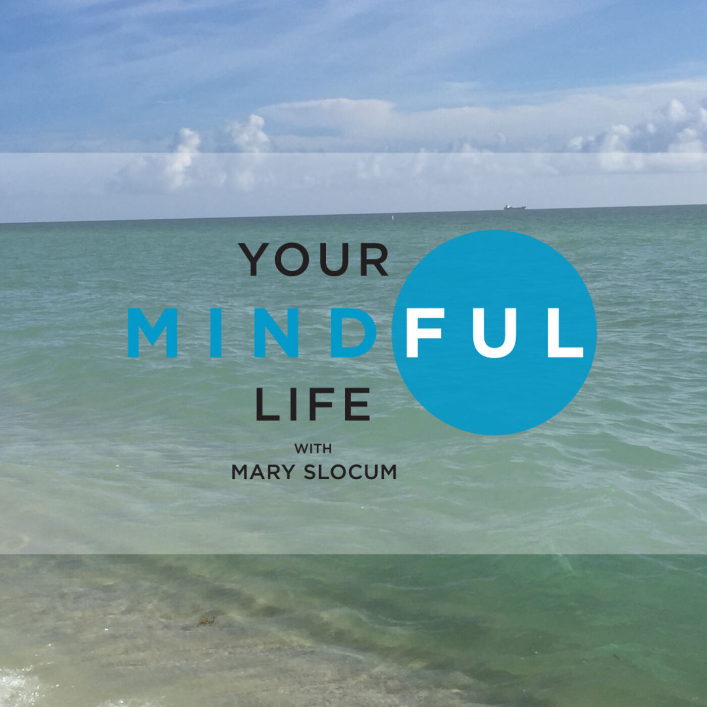 Your Mindful Life