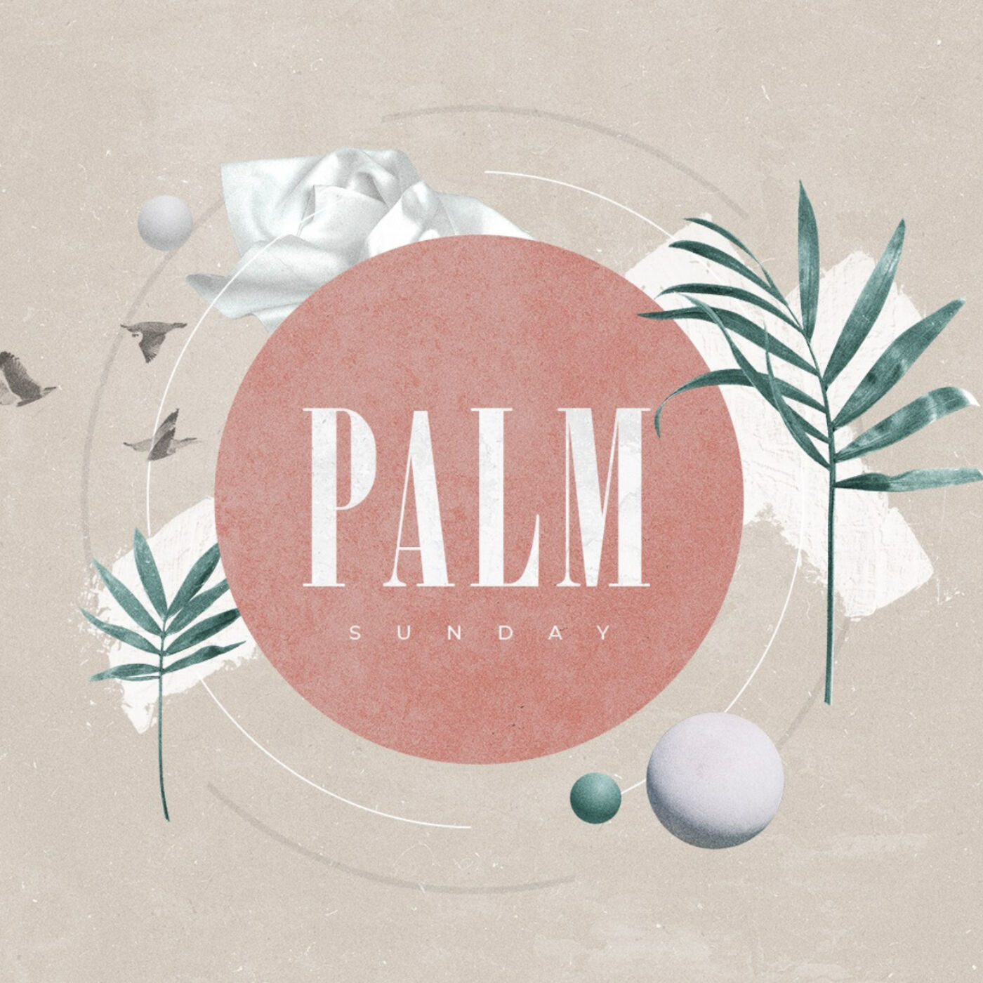 Palm Sunday 2020: The Triumphal Entry and the Path We Follow (John 12)