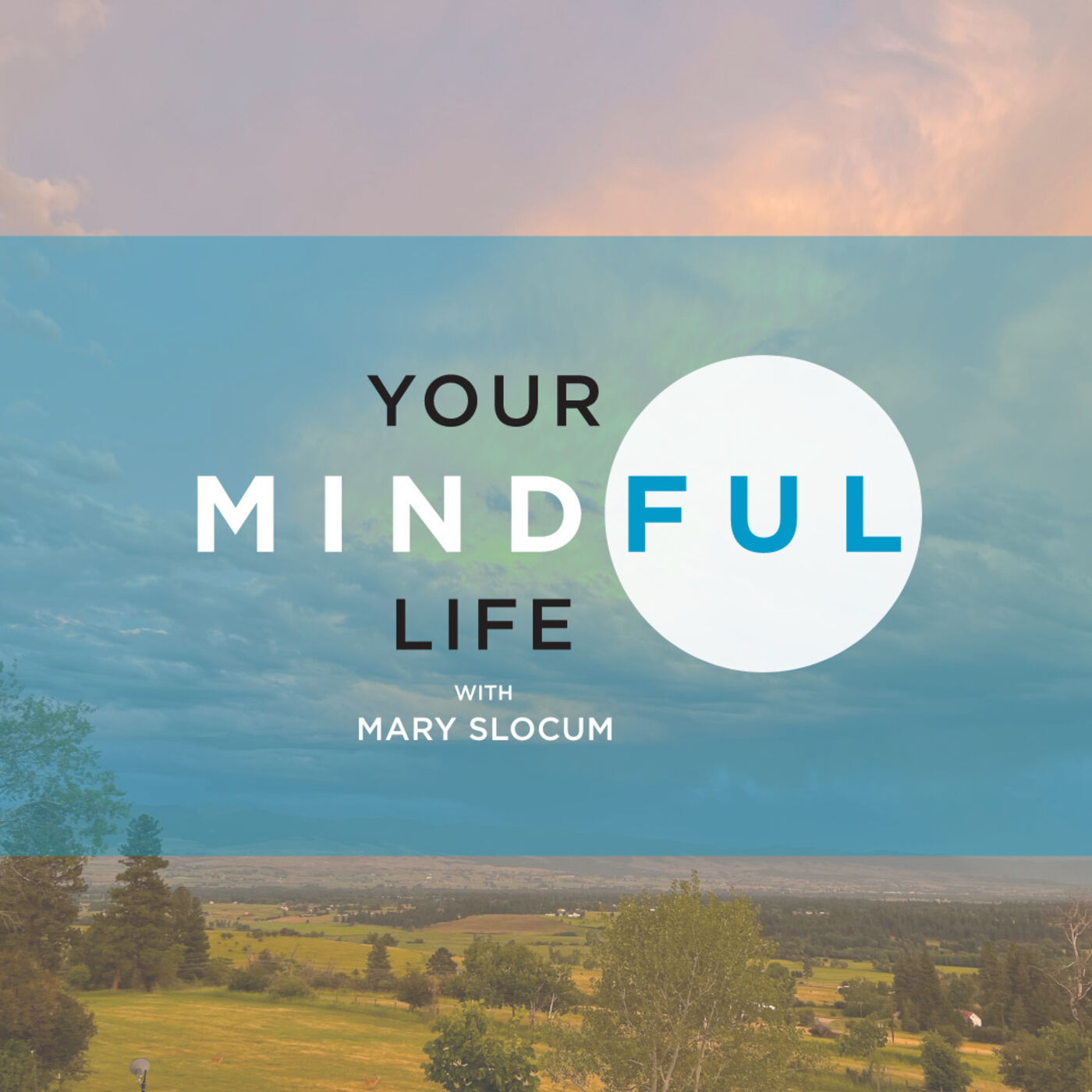 Your Mindful Life