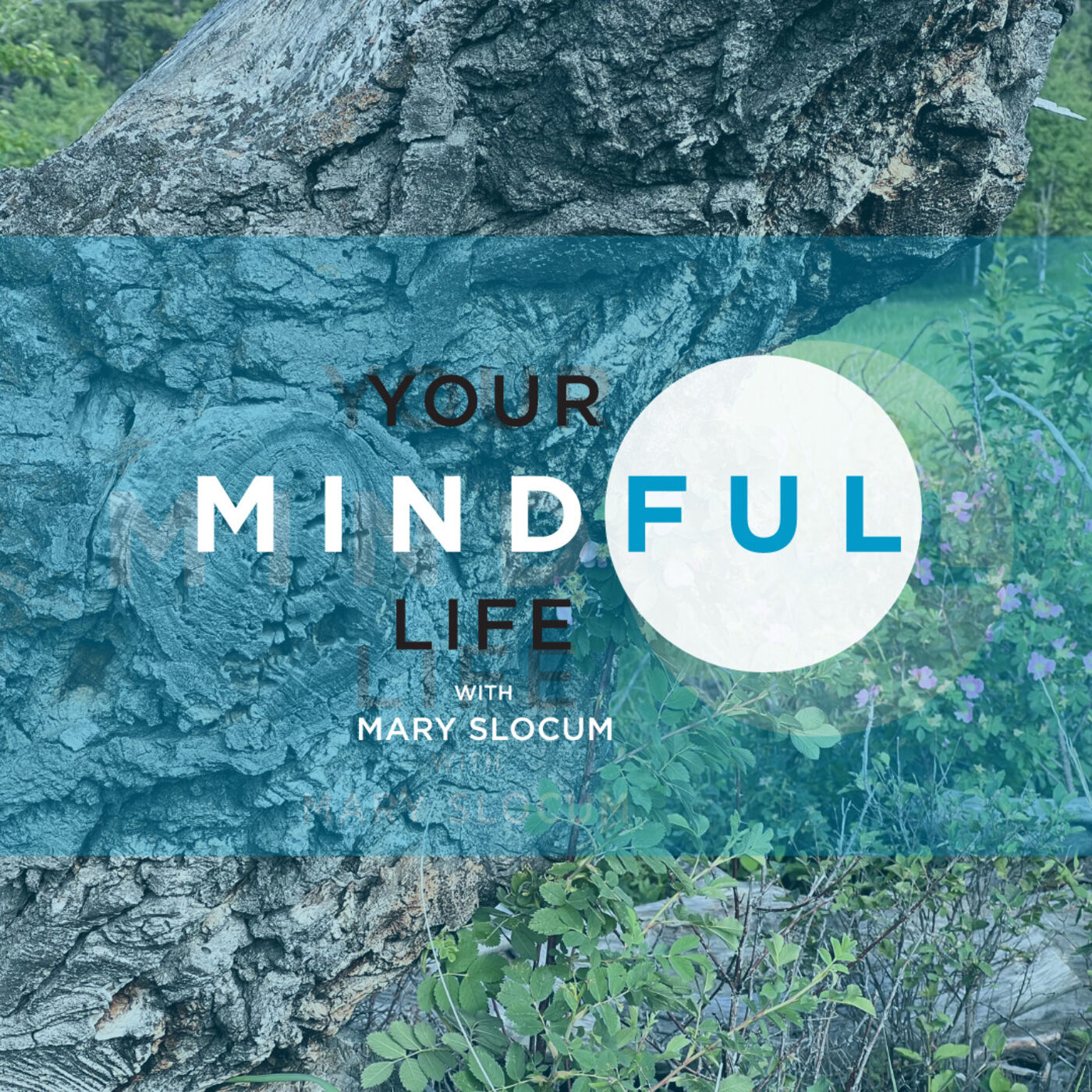 Your Mindful Life