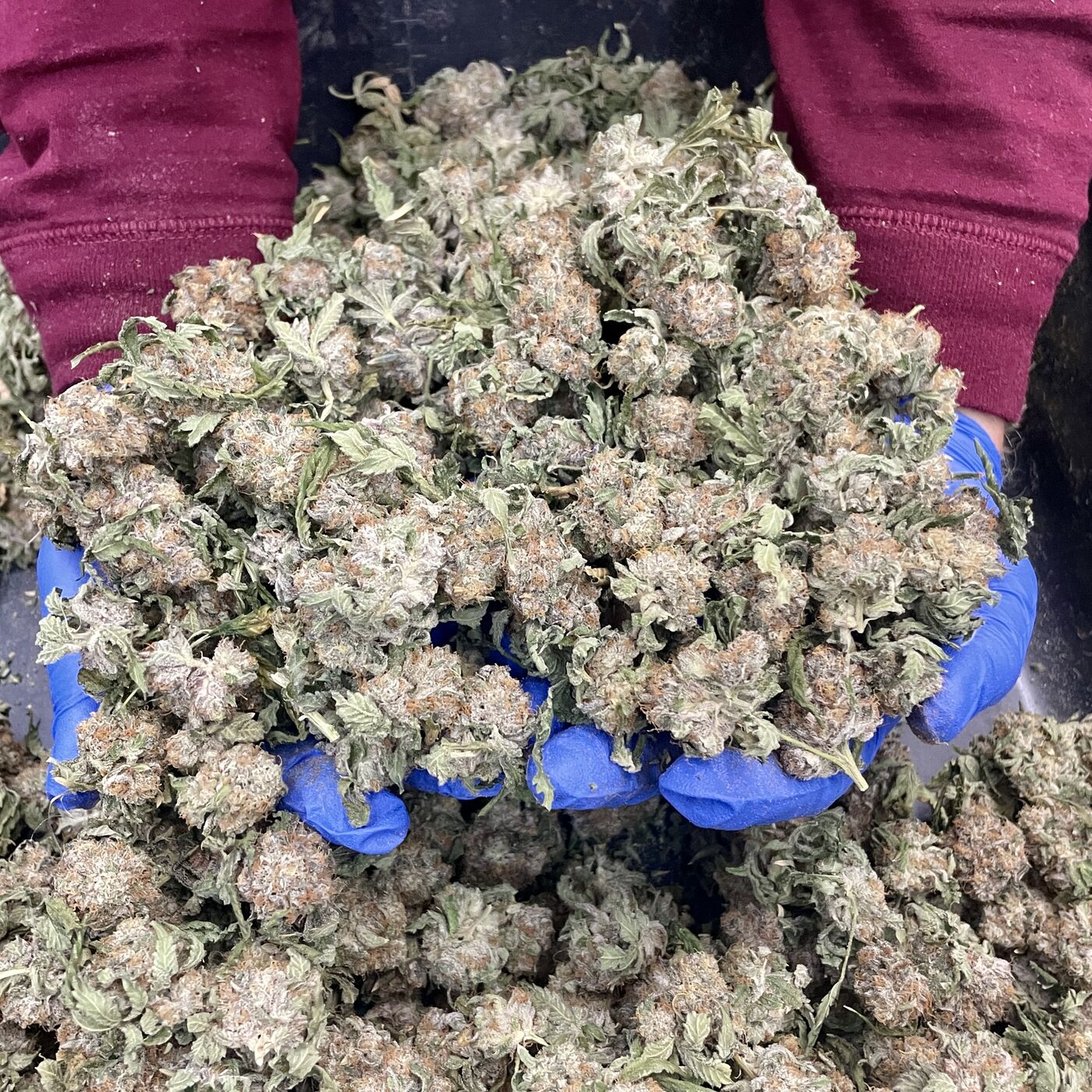 Inside Dope