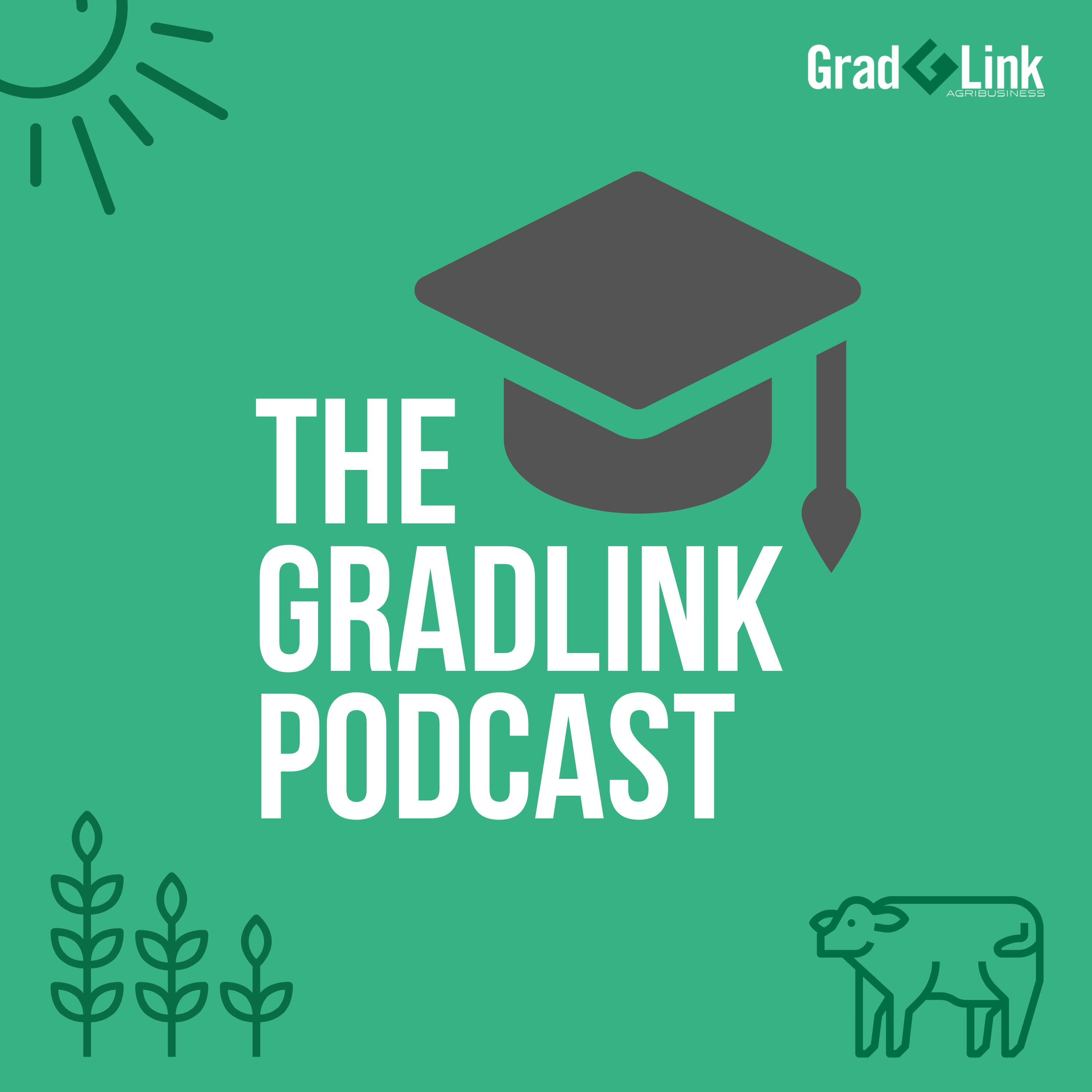 The GradLink Podcast cover art