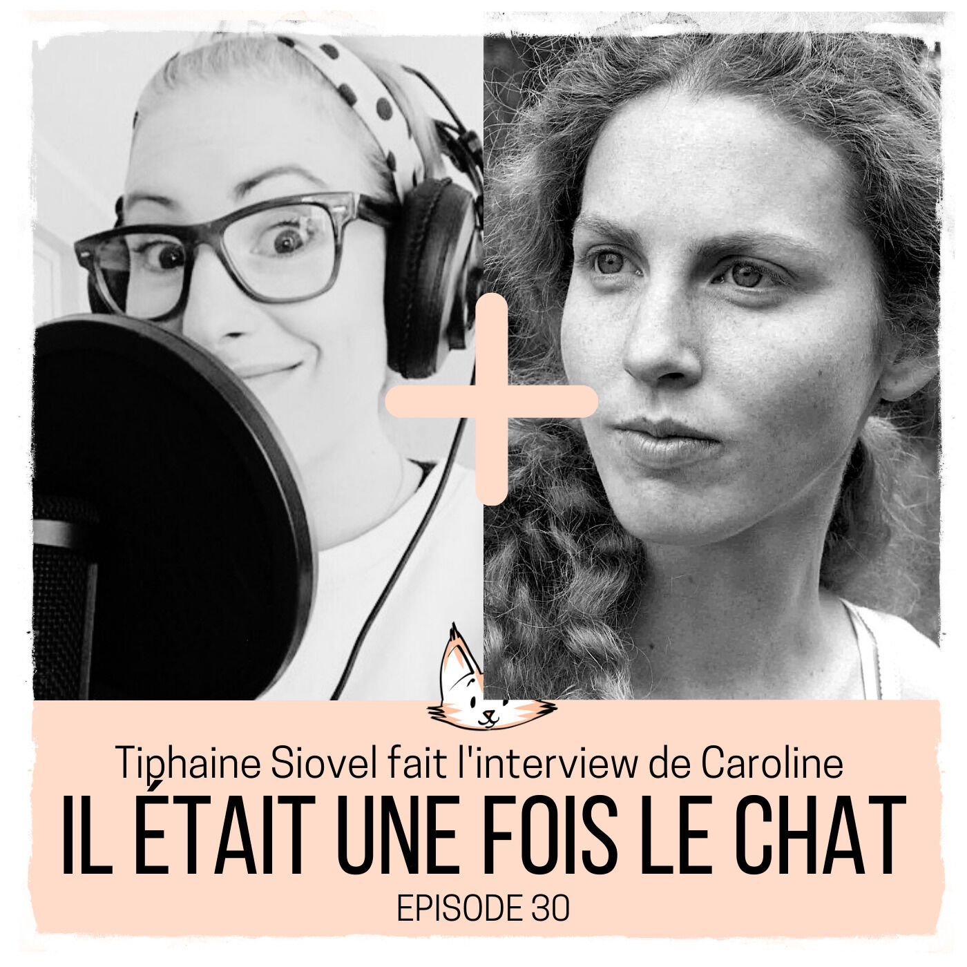 Le Chat de L\'Ecrivain
