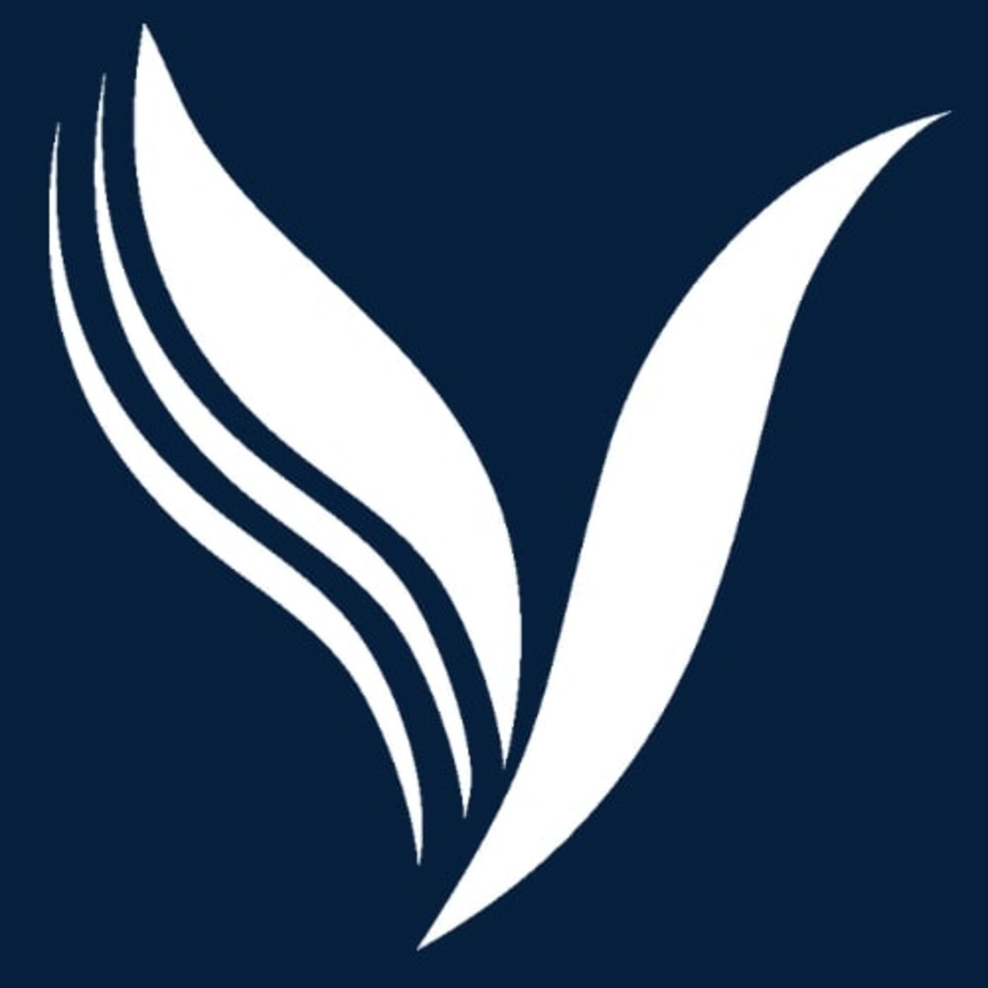 Vitality Physiotherapy and Wellness Centre's Podcast