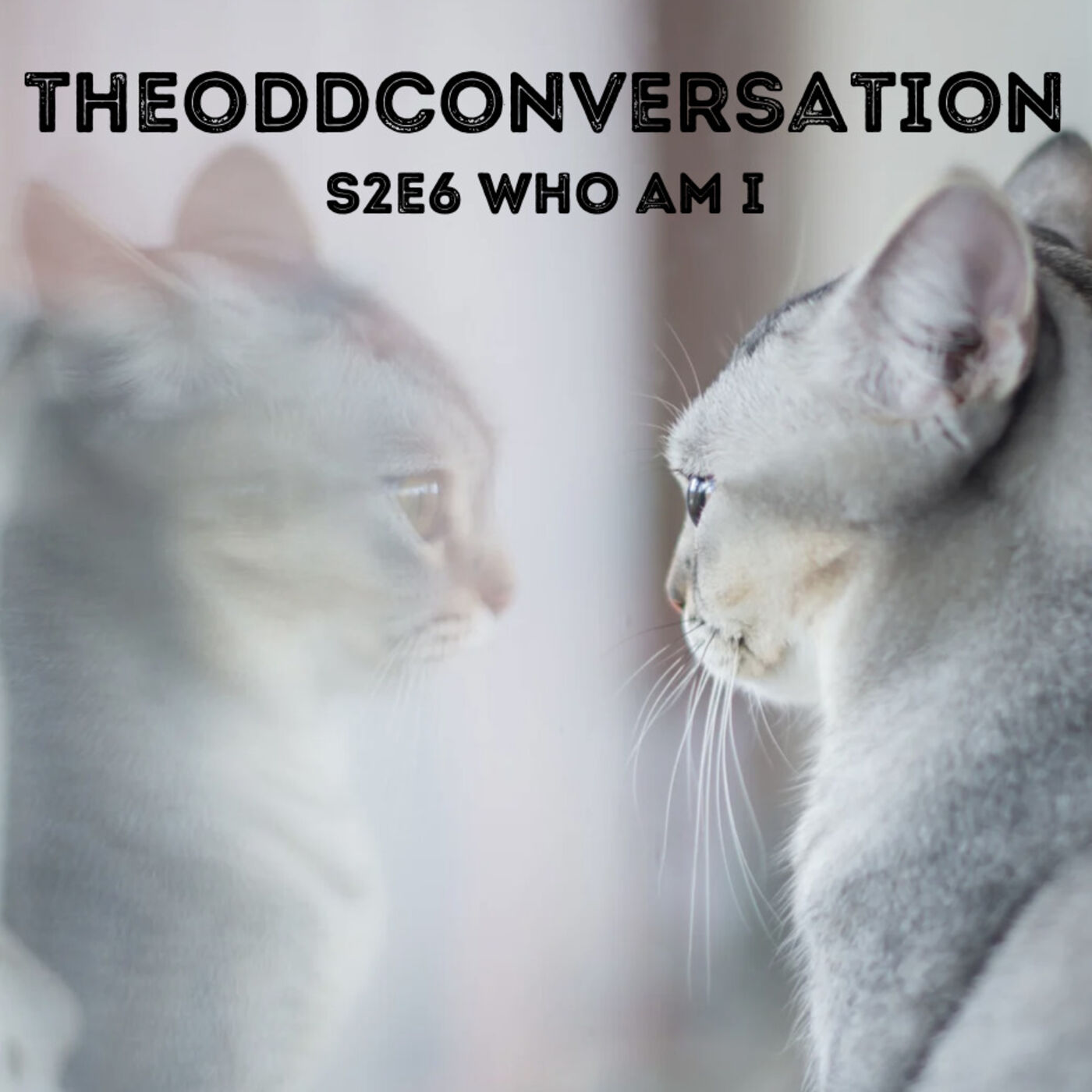 theoddconversation - a sister brother podcast