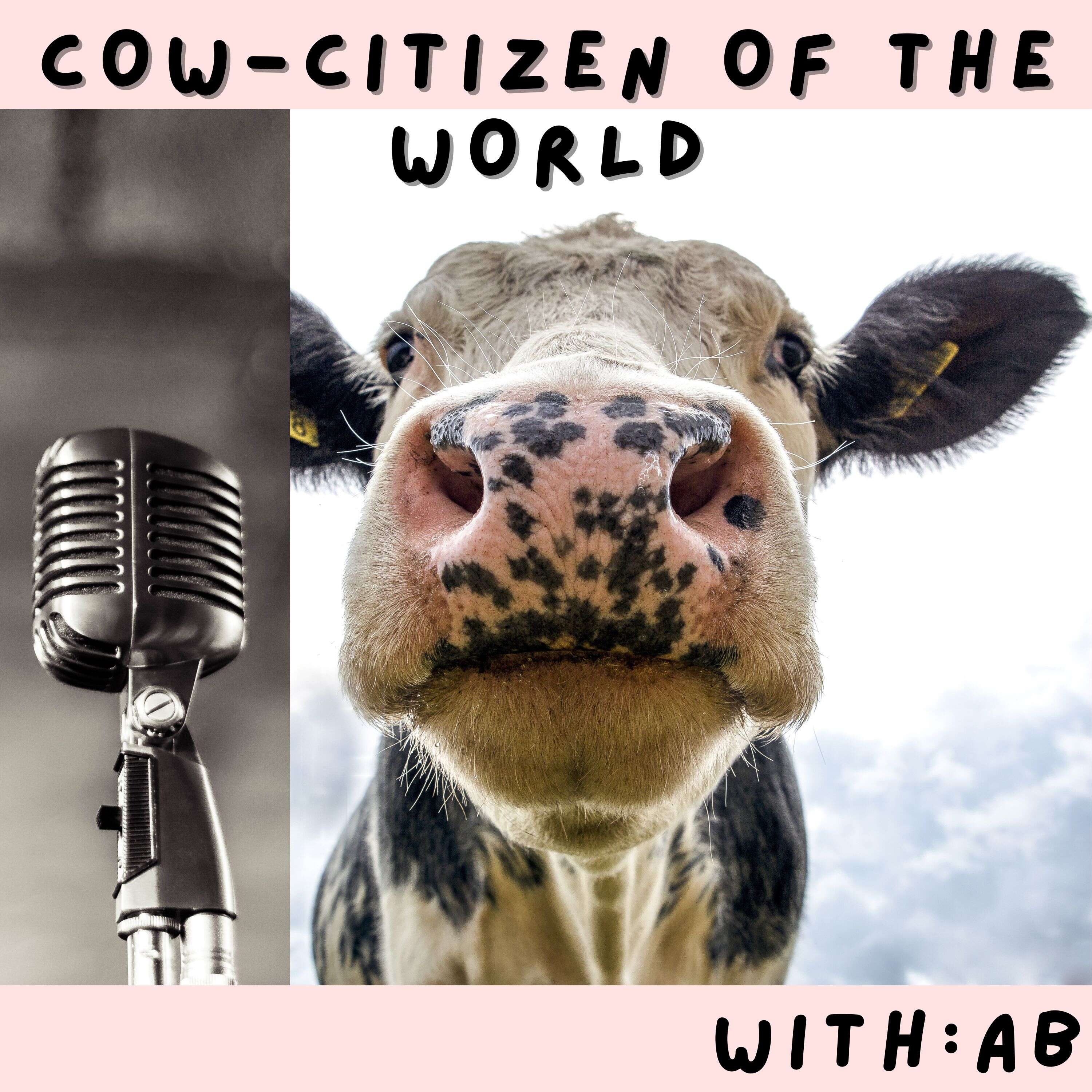 COW - CITIZEN OF THE WORLD podcast artwork