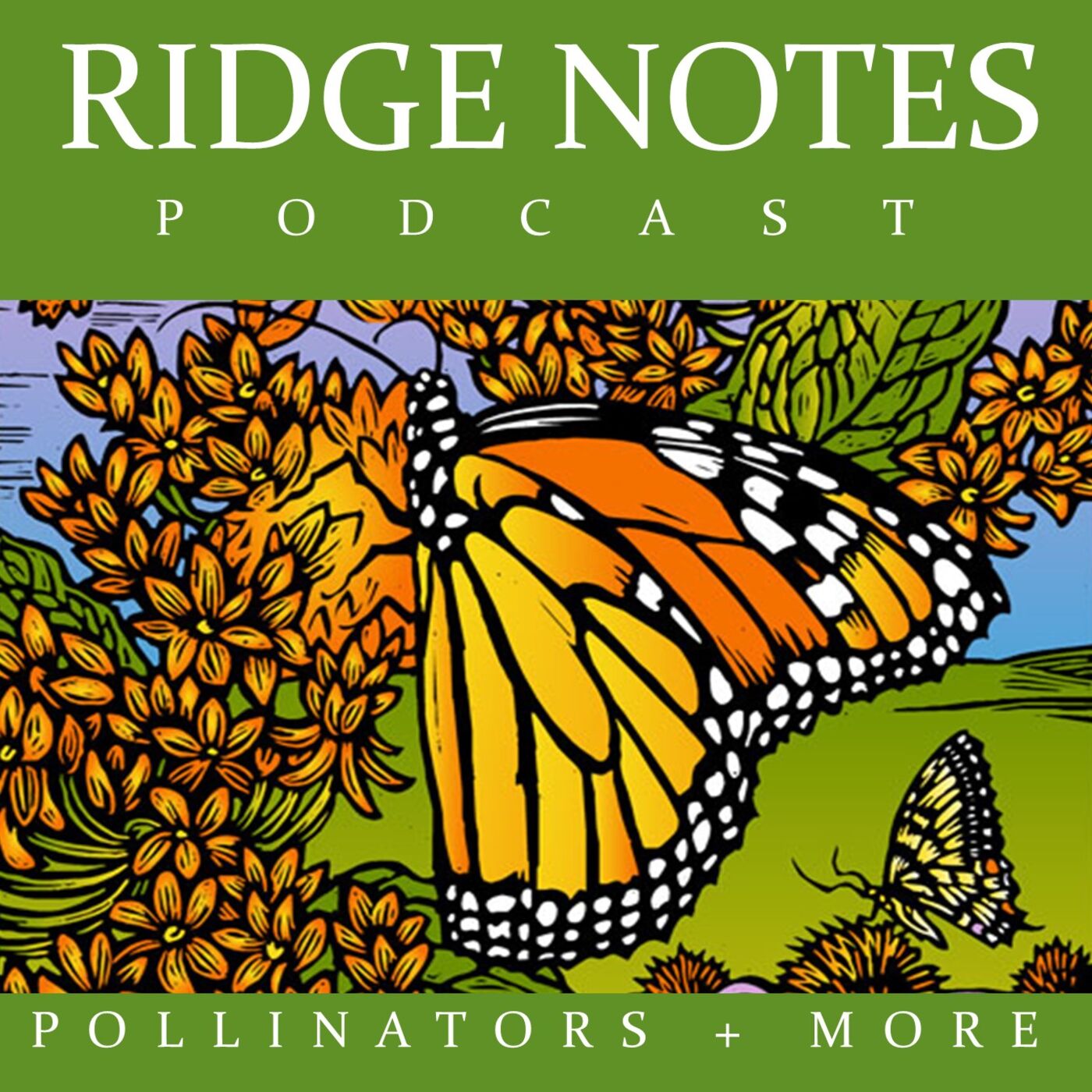 Ridge Notes