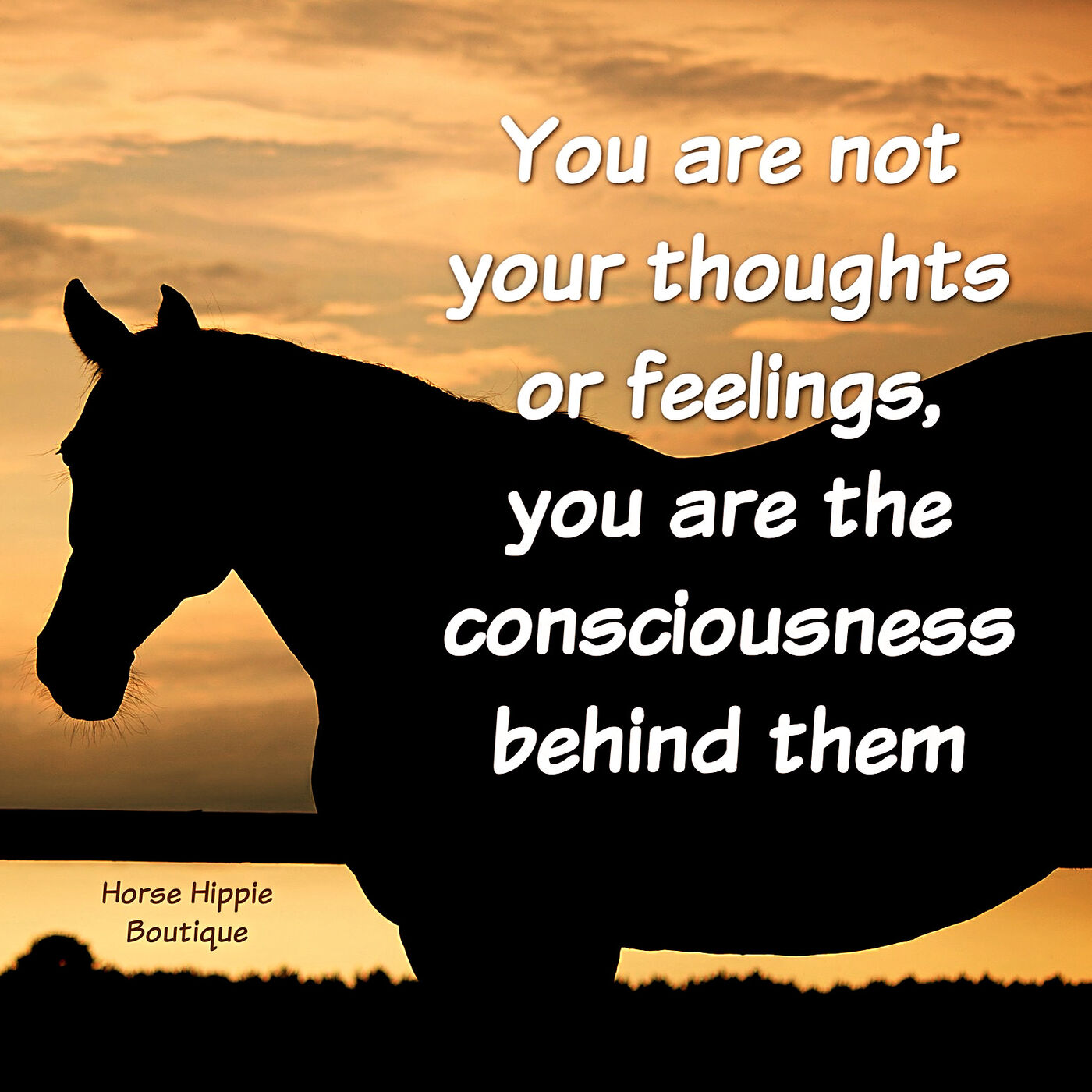 You Are Not Your Thoughts