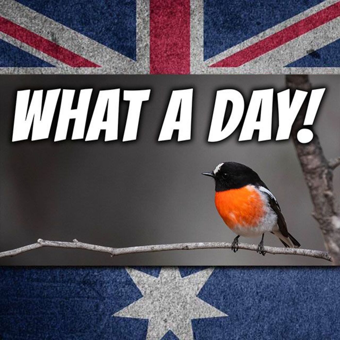 AE 487 - WWP: What A Day! Photography Update