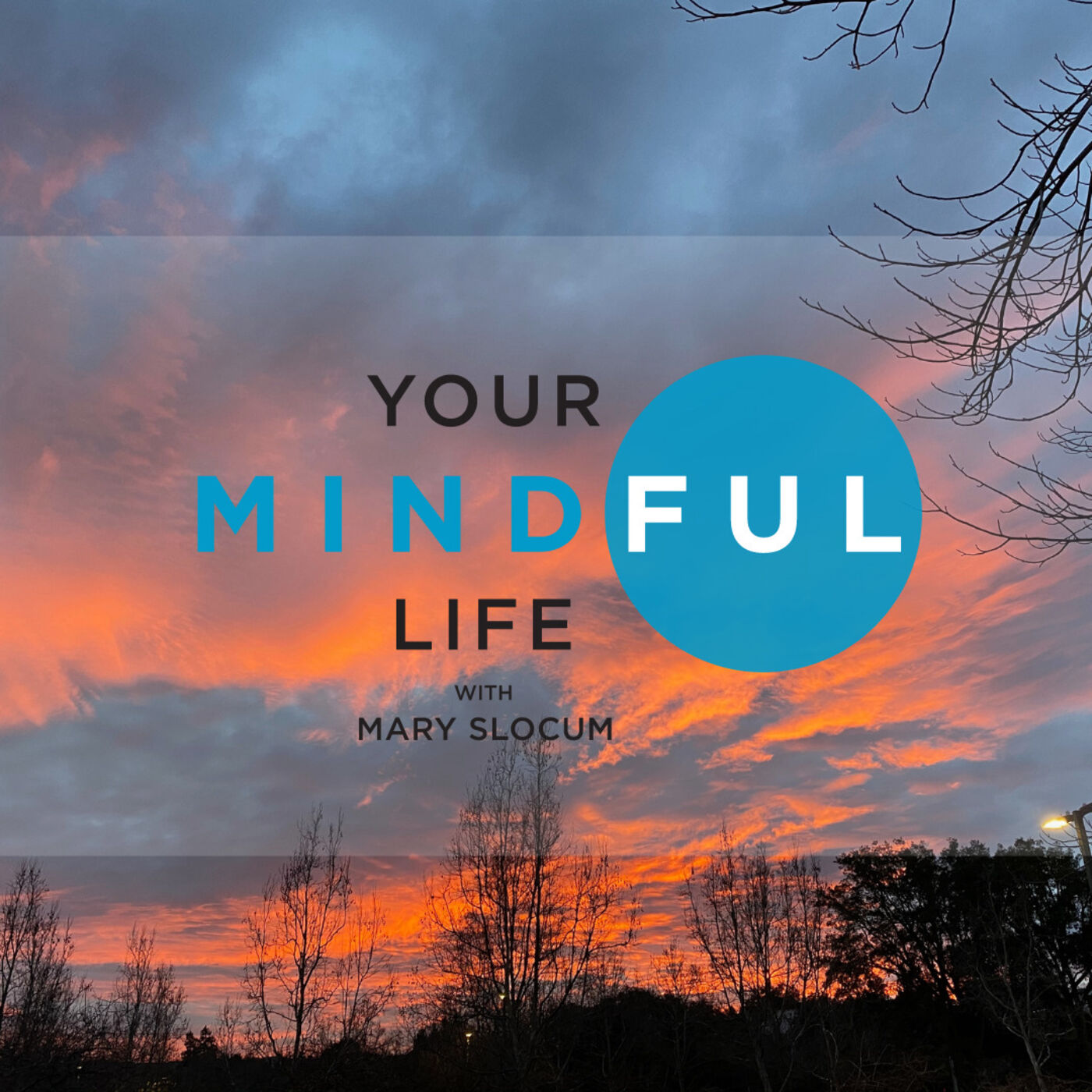 Your Mindful Life