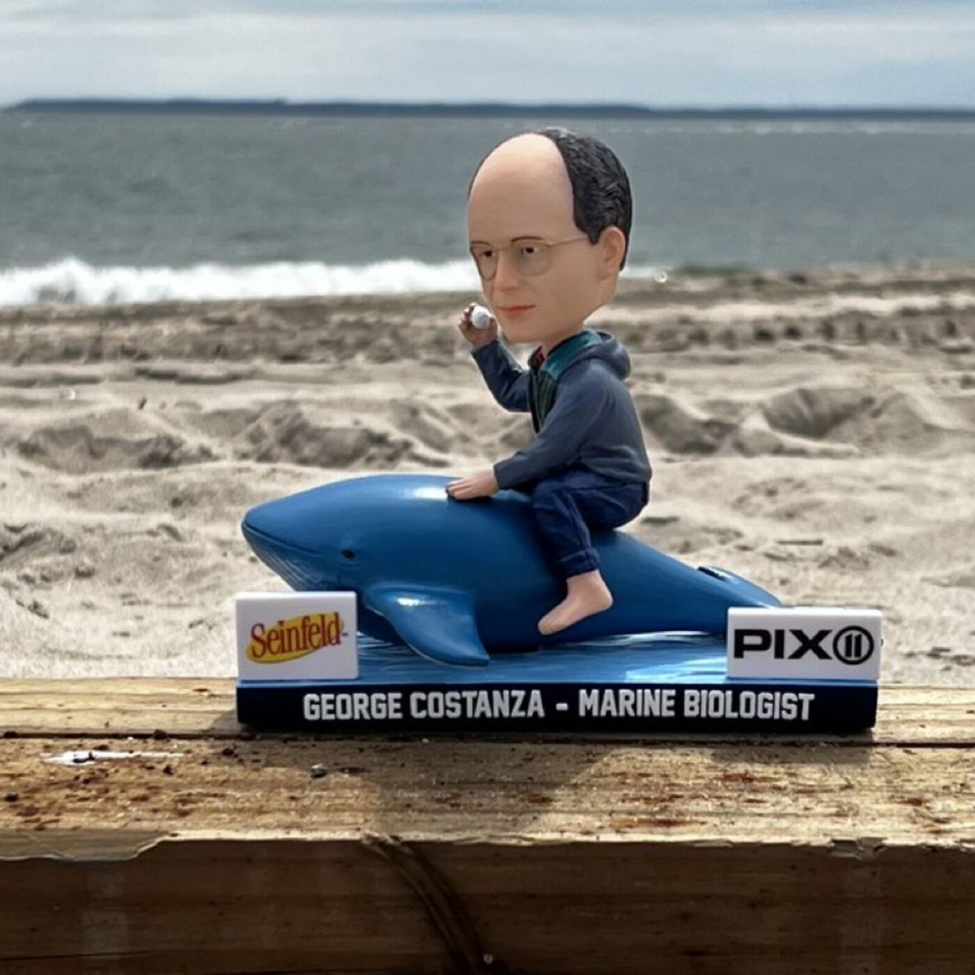 JD TALKIN SPORTS #1293