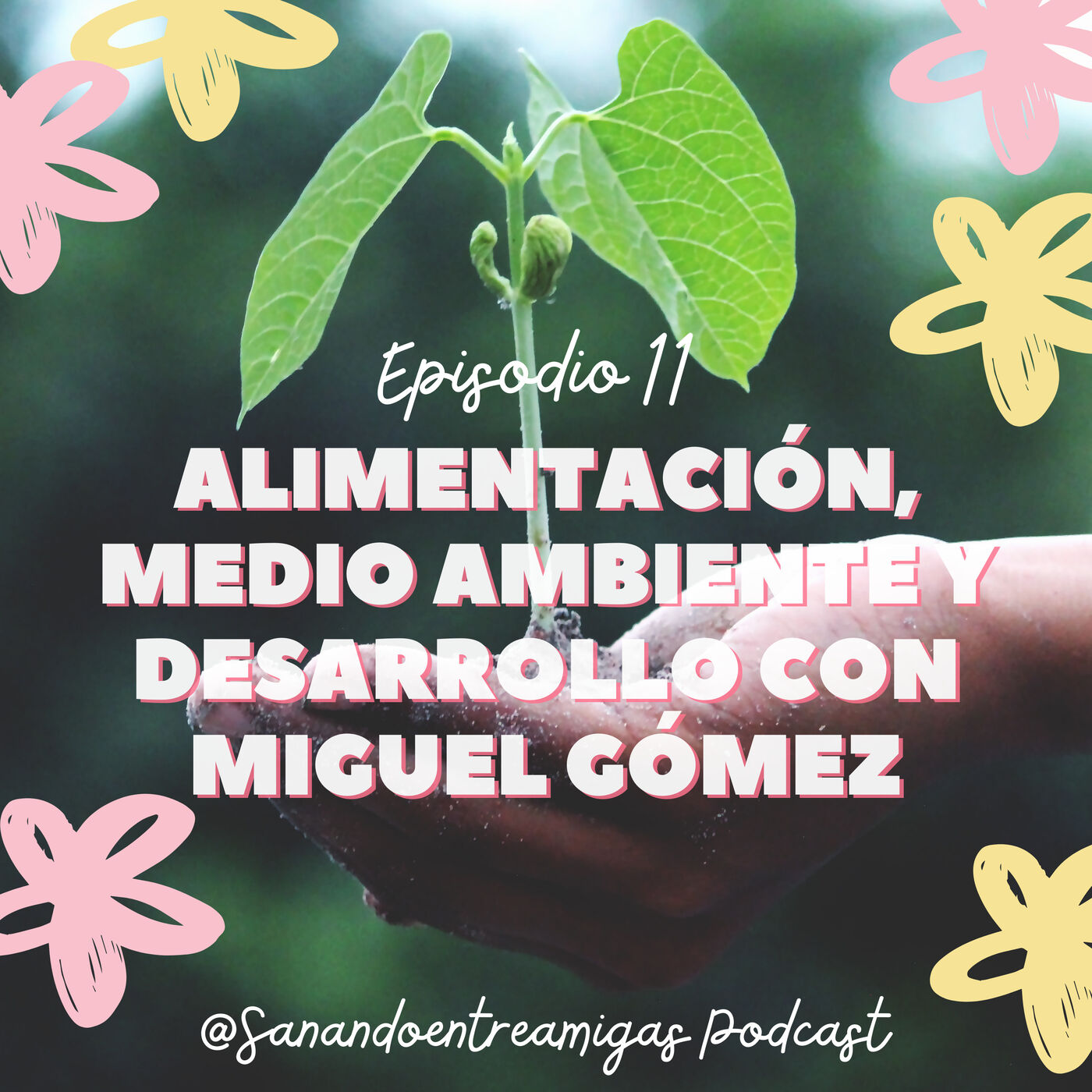 Expansión