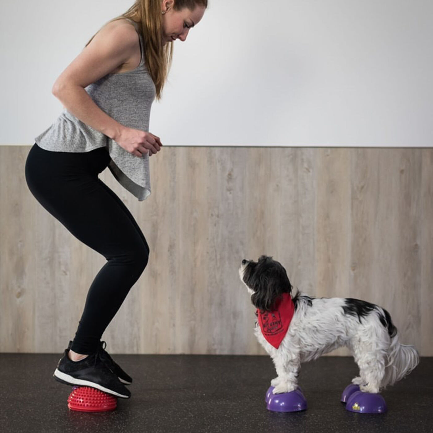 The Triskelion - The PURICA Podcast