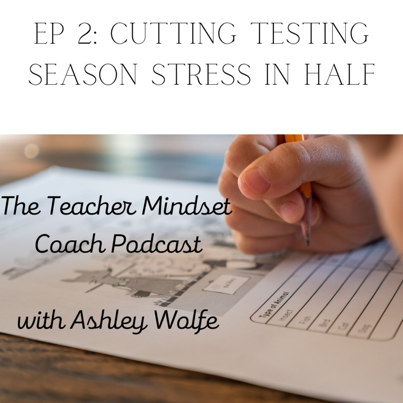 The Teacher Mindset Coach