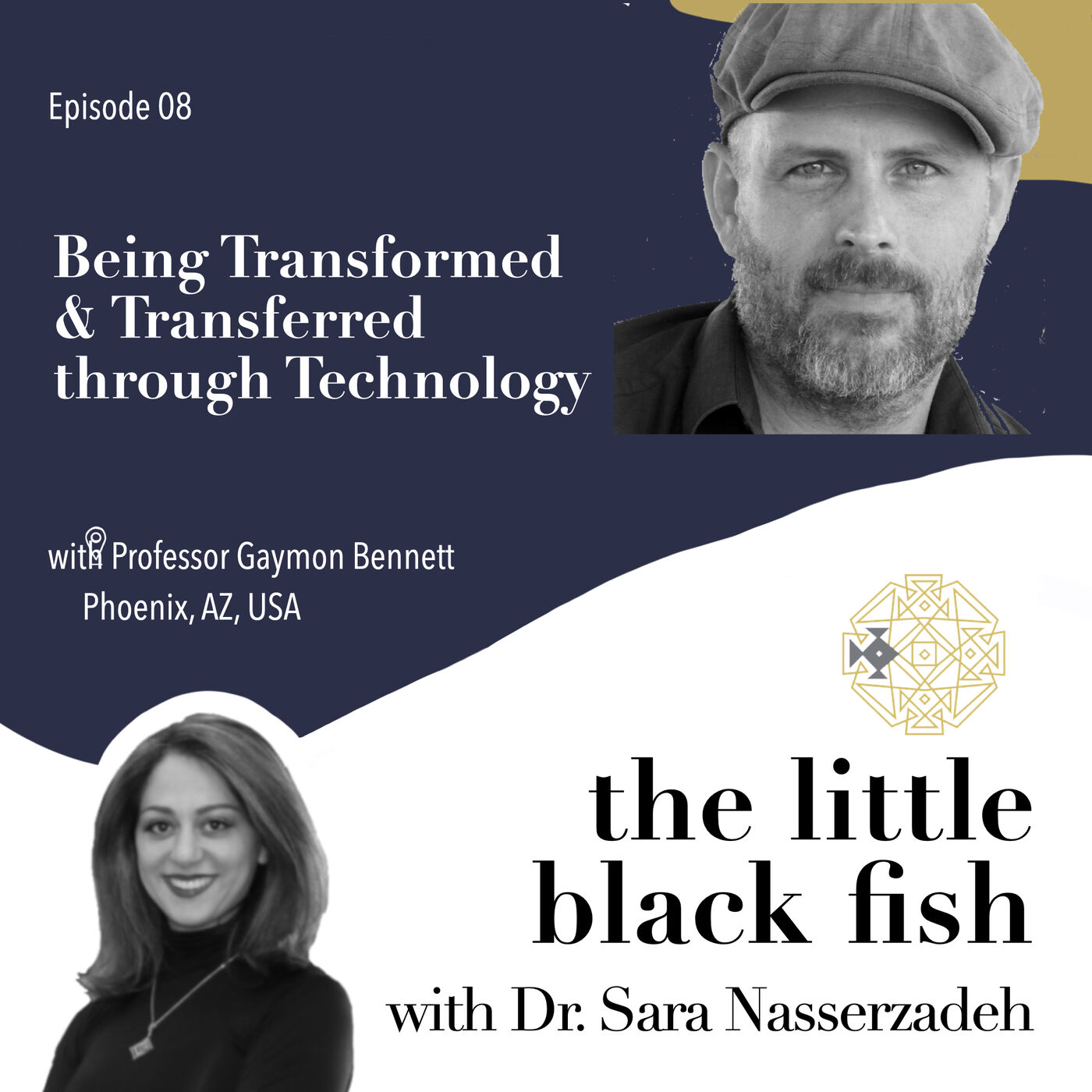 the little black fish