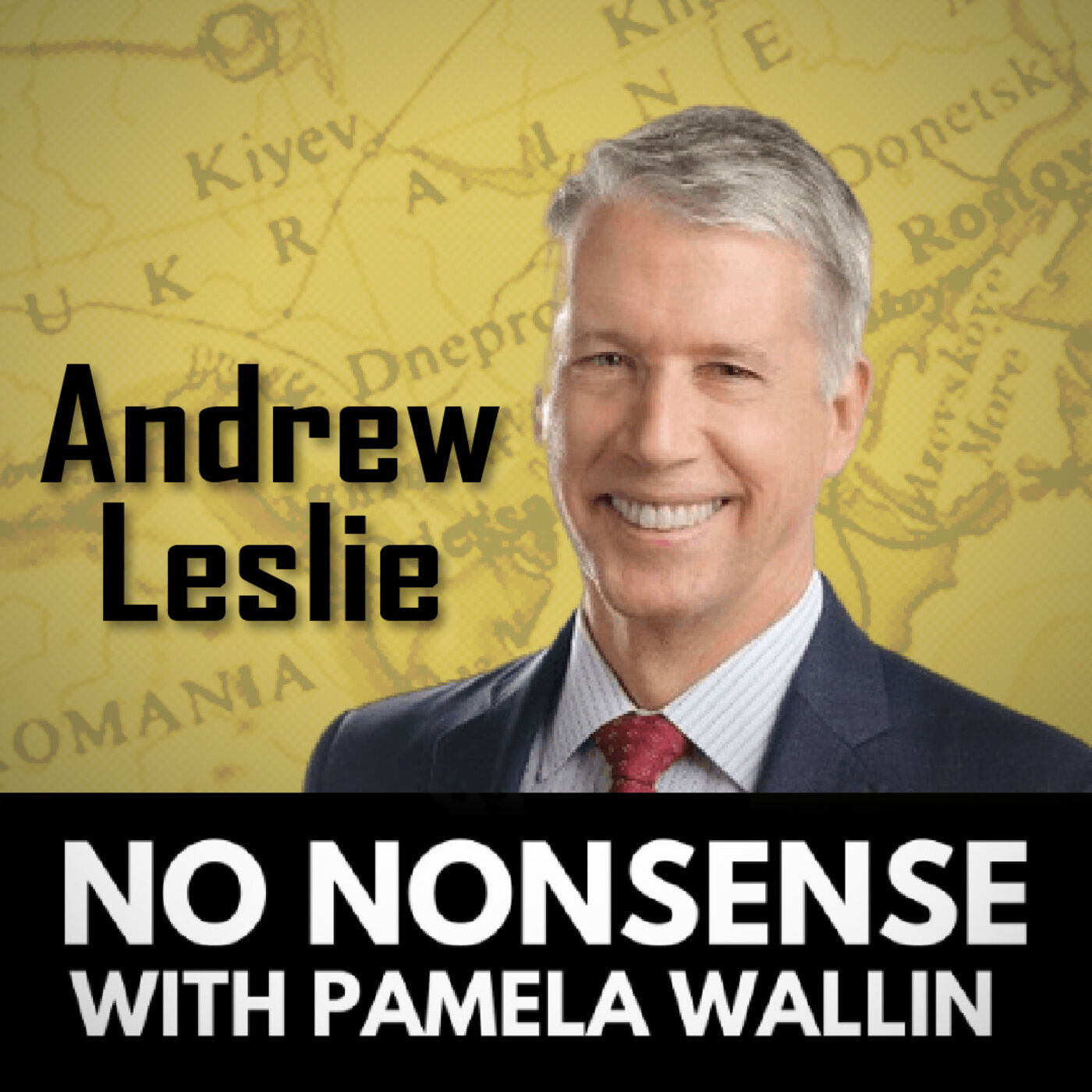 The Crisis in Ukraine with Andrew Leslie The Crisis in Ukraine with Andrew Leslie