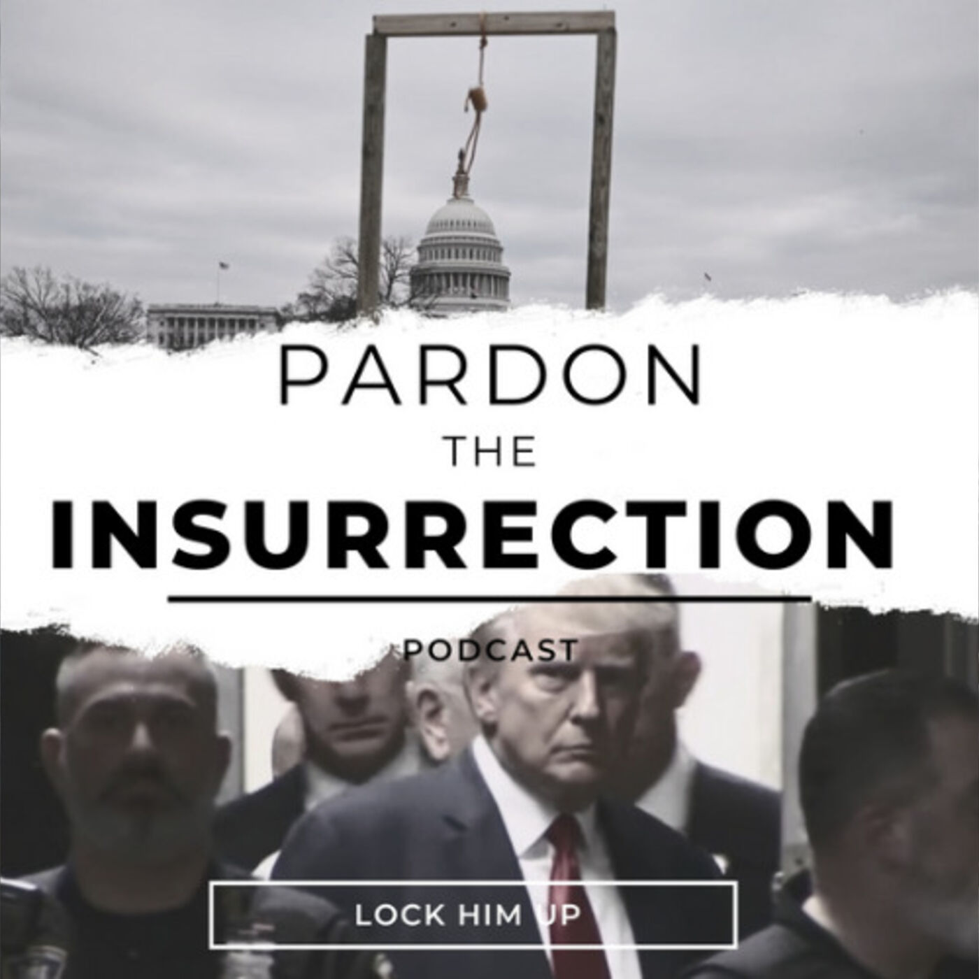 Pardon The Insurrection cover