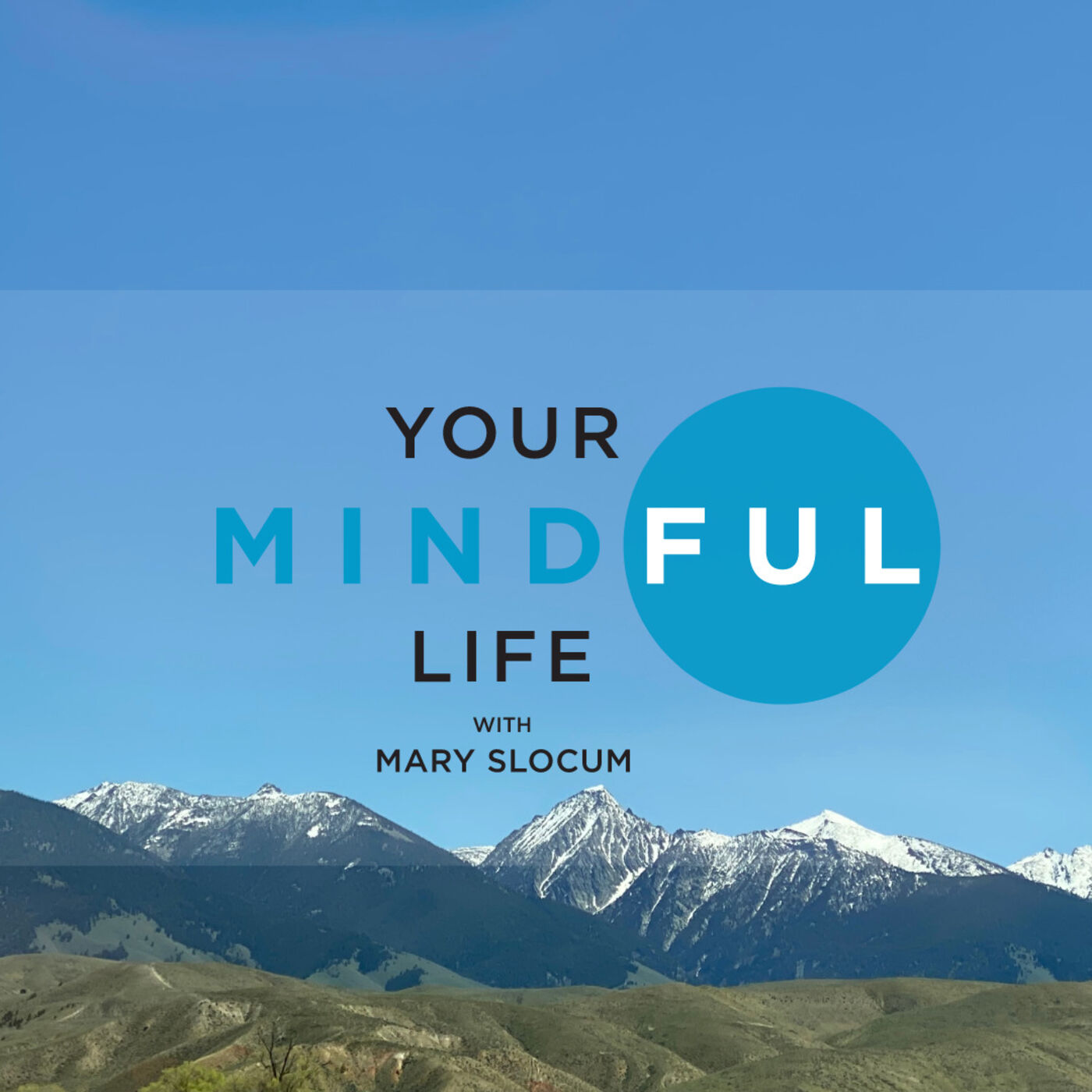 Your Mindful Life