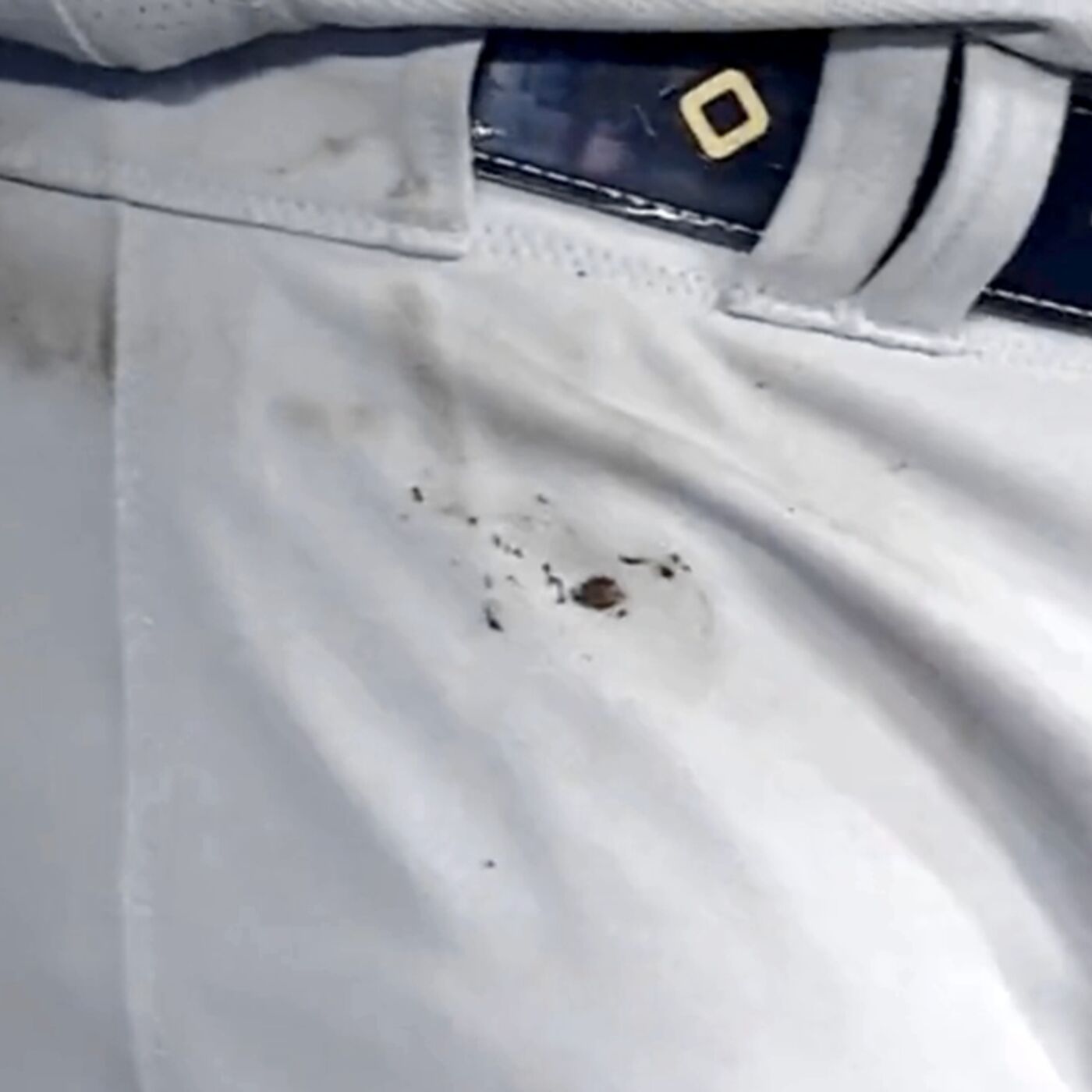 JD TALKIN SPORTS #1298