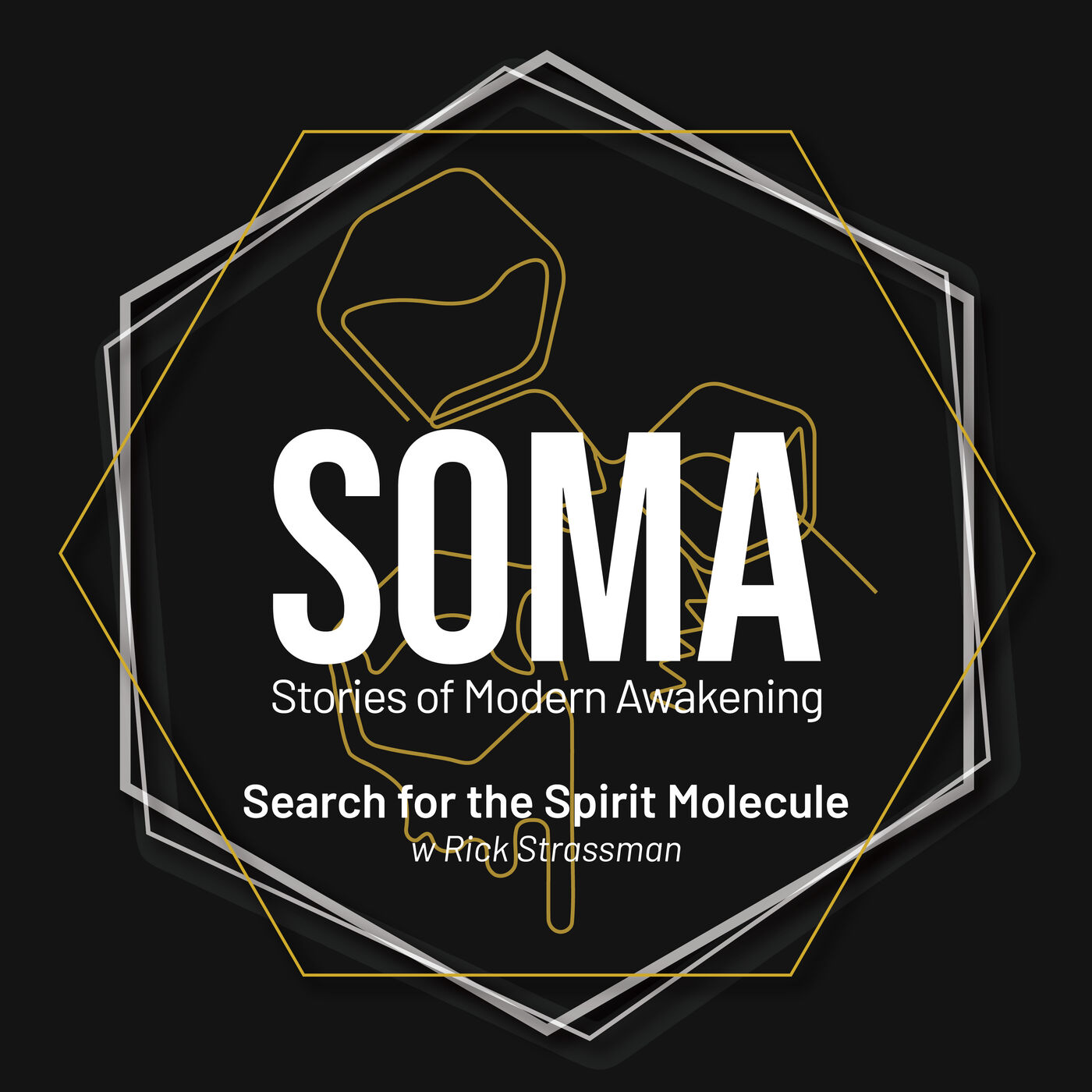 SOMA - Stories of Modern Awakening