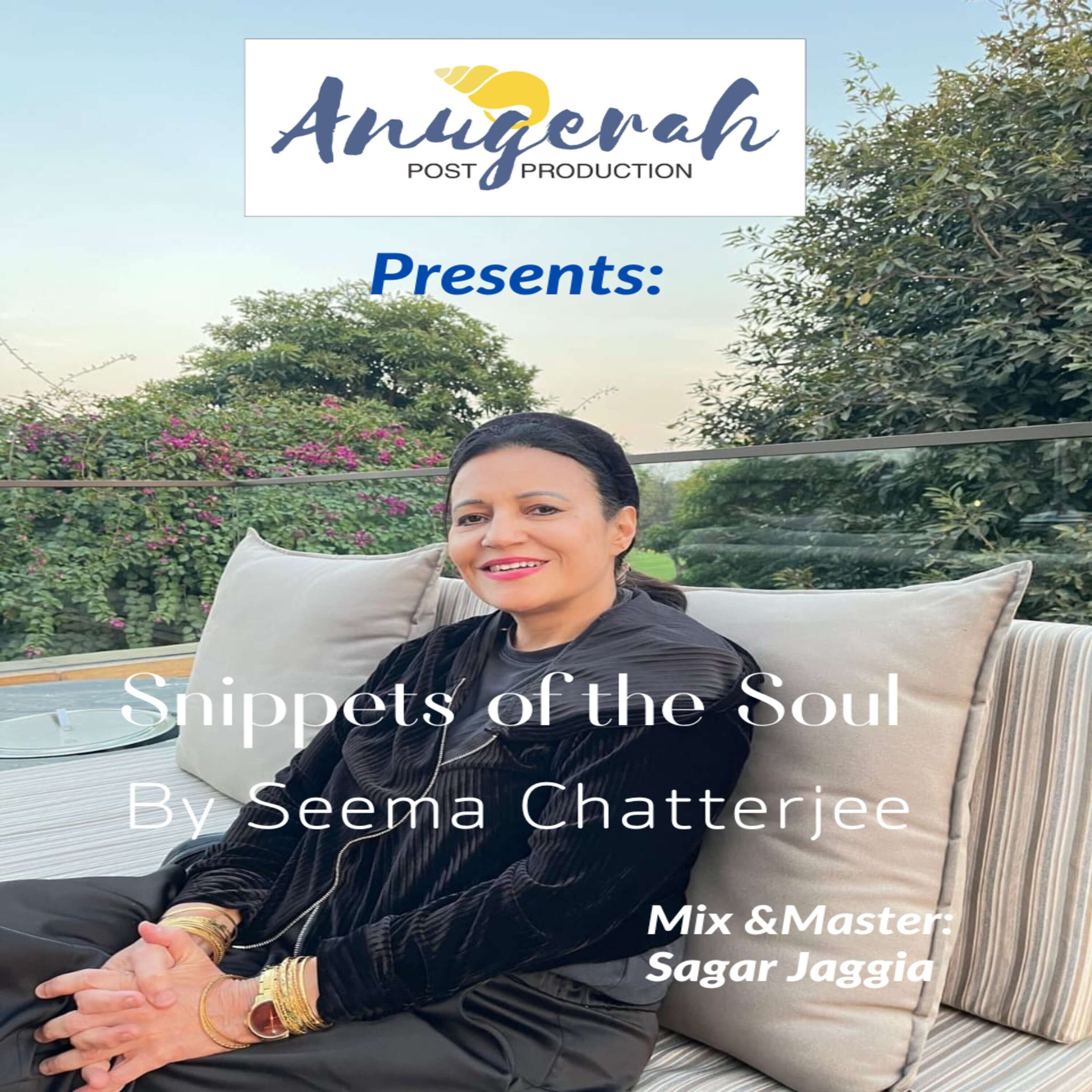 Snippets of The Soul podcast artwork