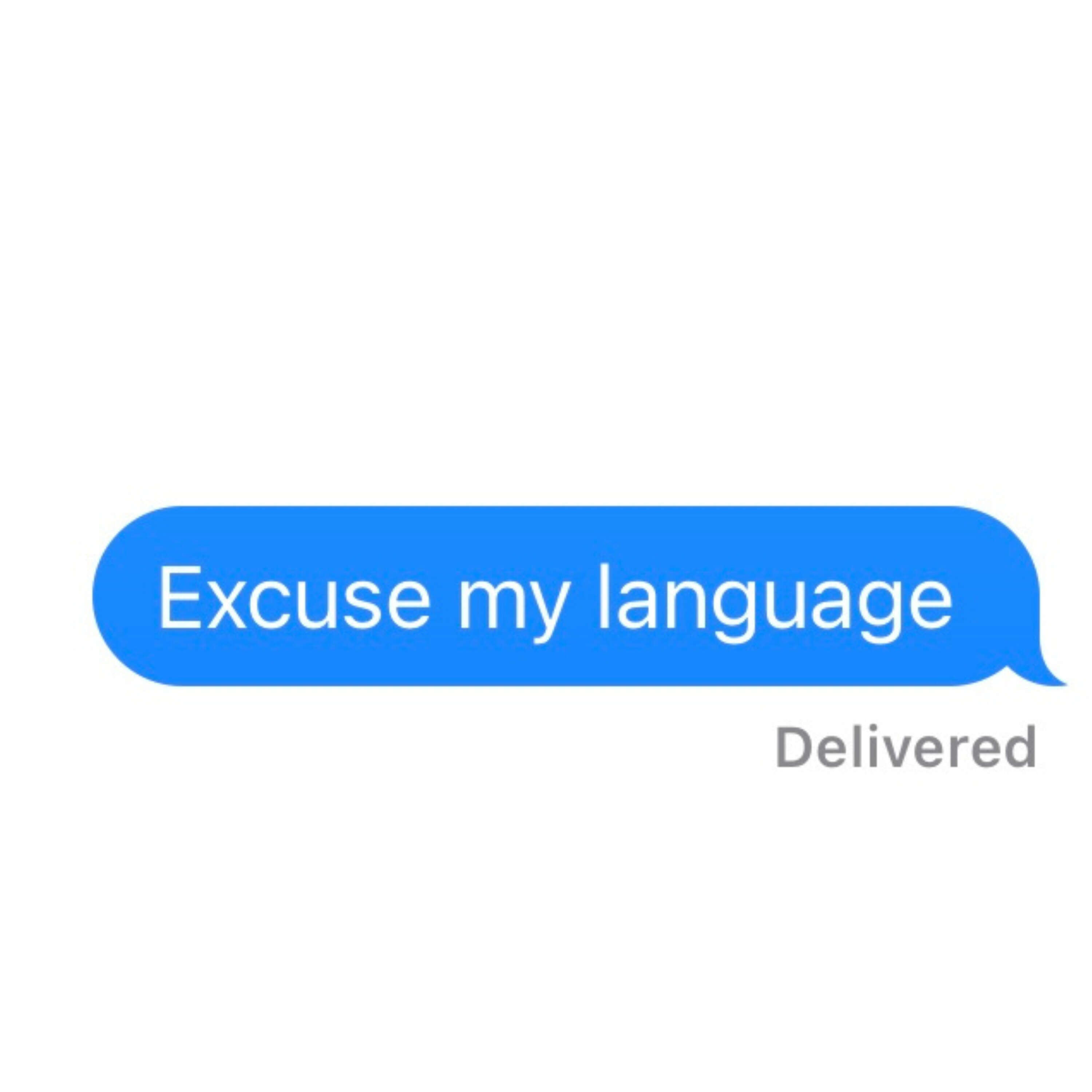 Excuse my Language