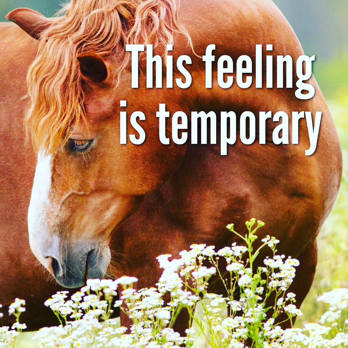 Emotional Intelligence