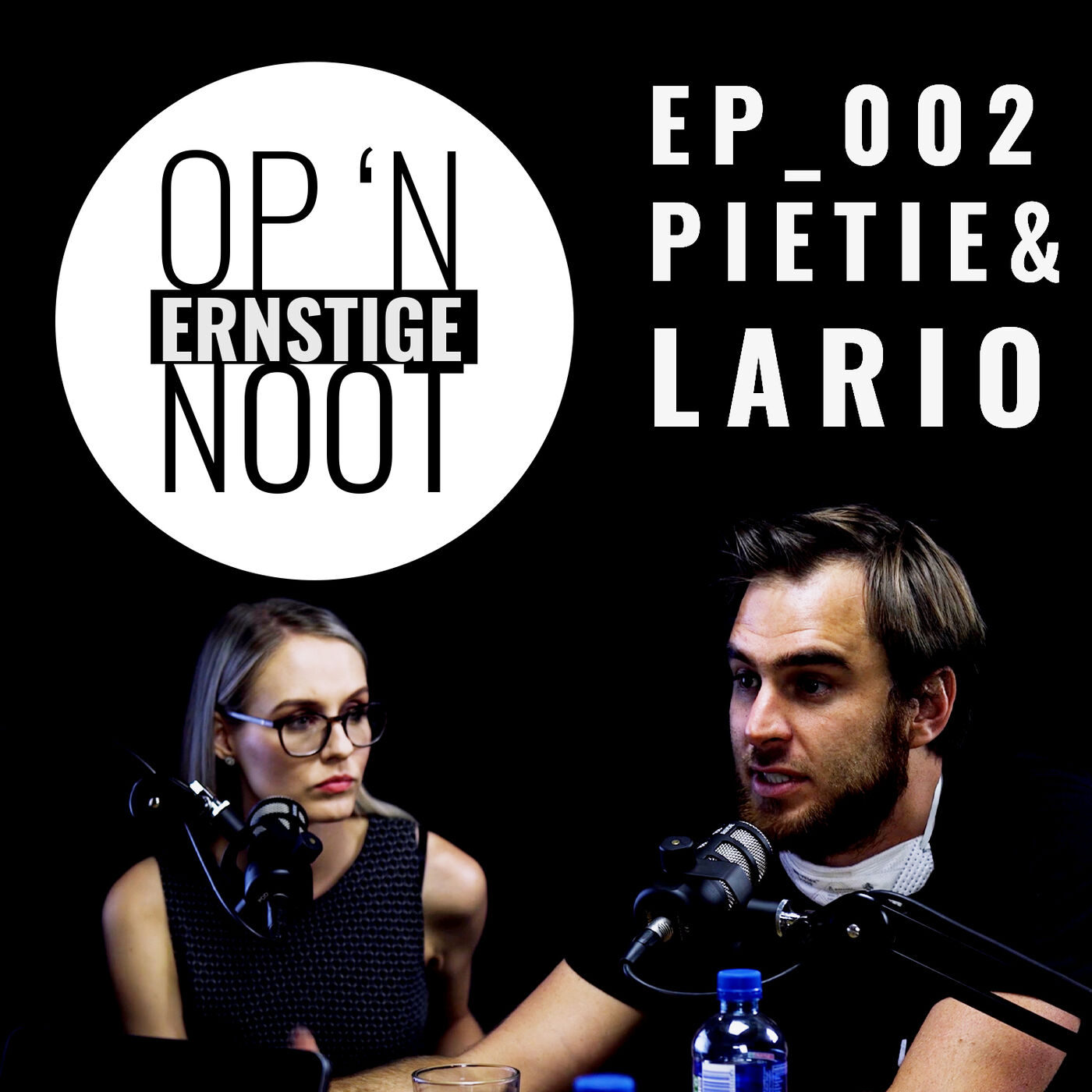 Op \'n Ernstige Noot: Chats met Rikus de Beer