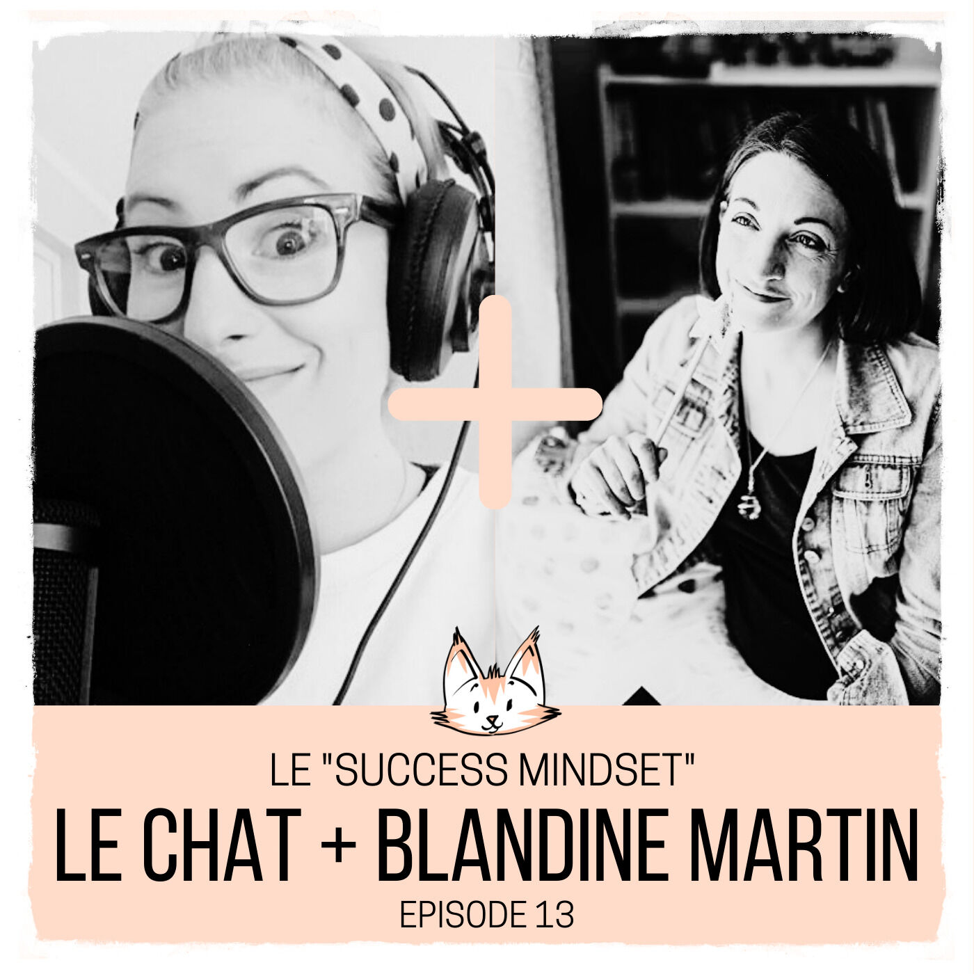 Le Chat de L\'Ecrivain