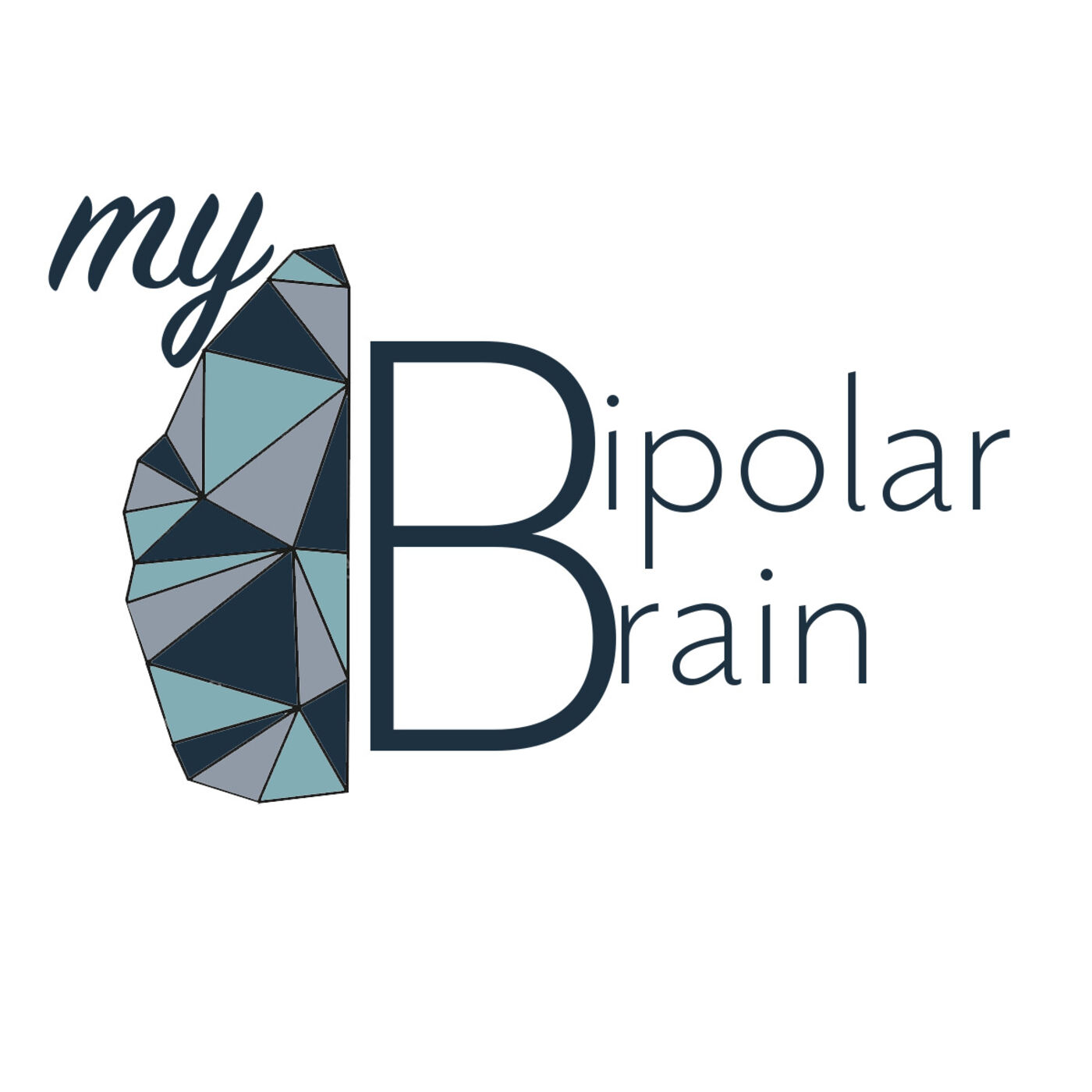 One Bipolar Brain