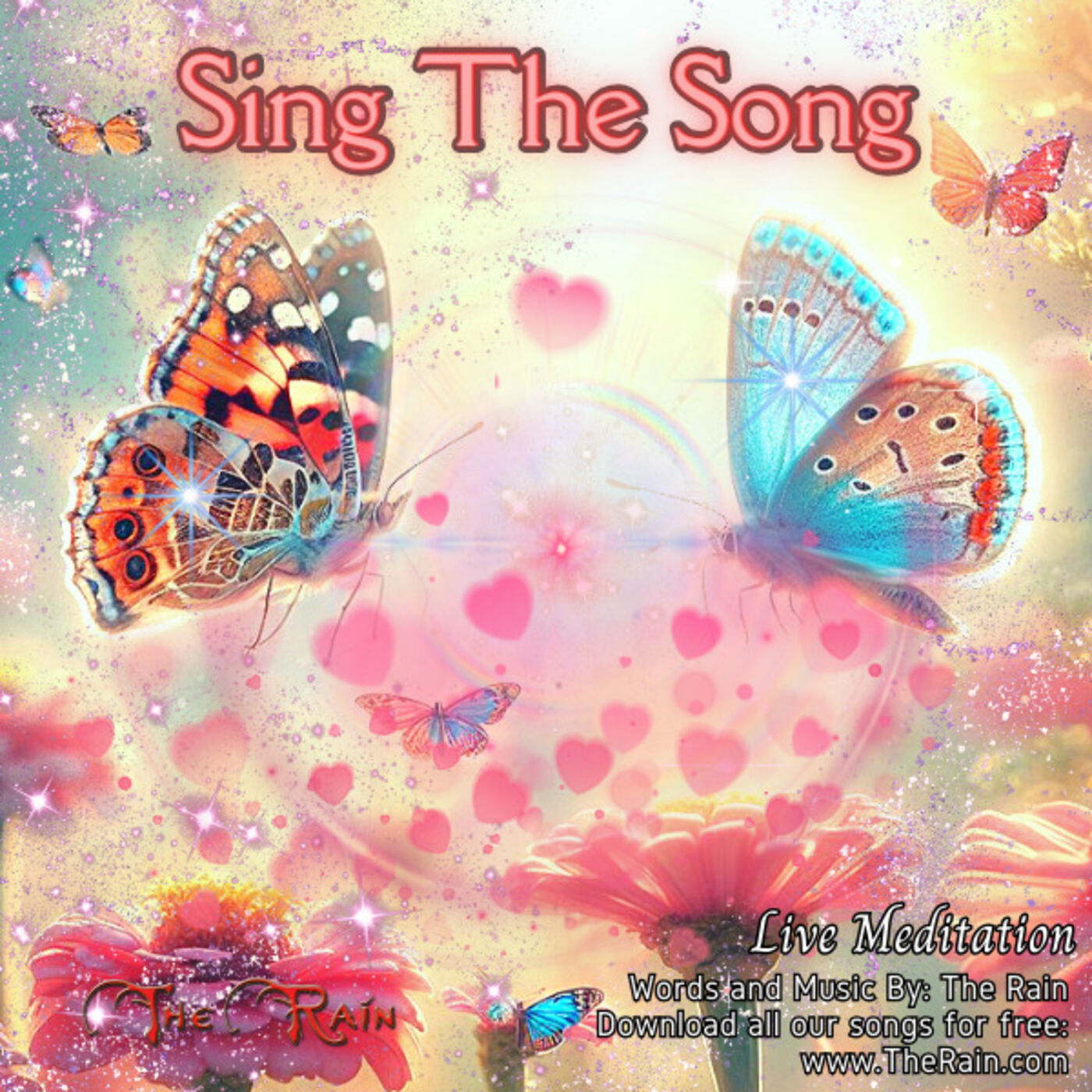 Sing The Song - Live