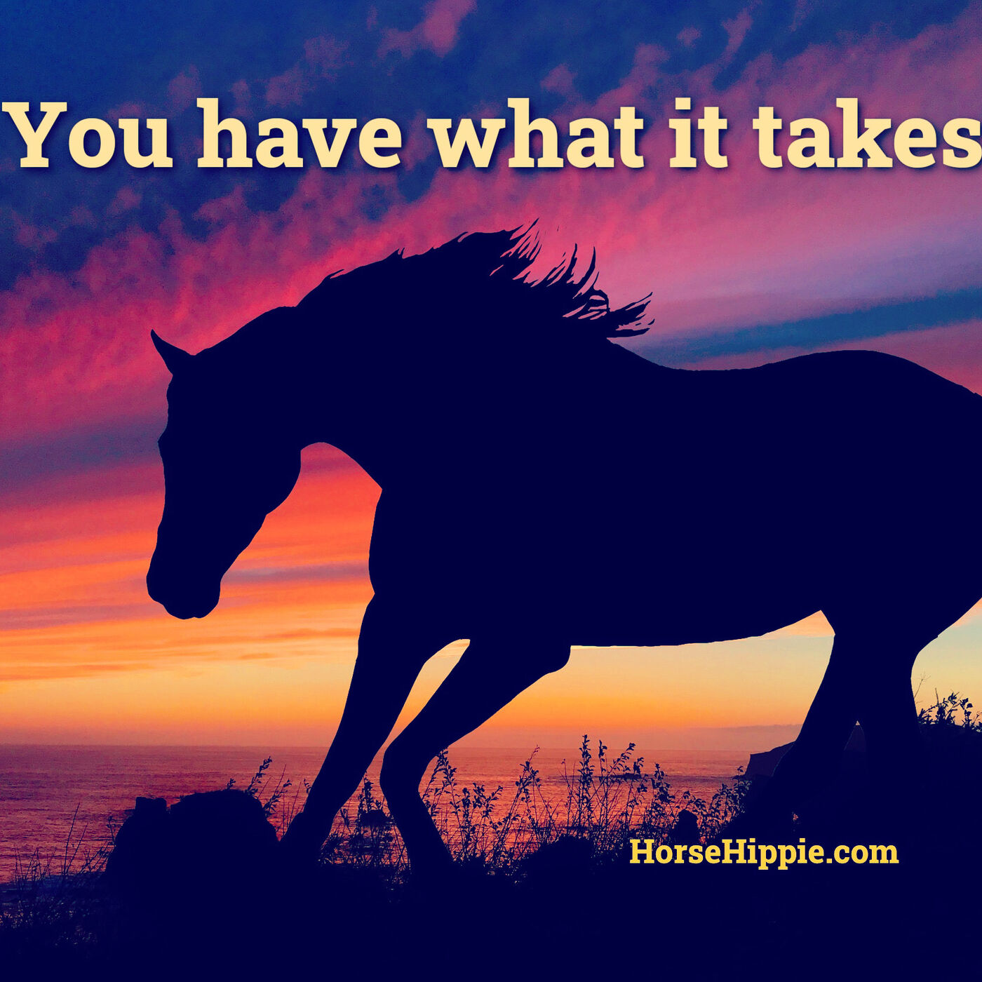 You Have What It Takes