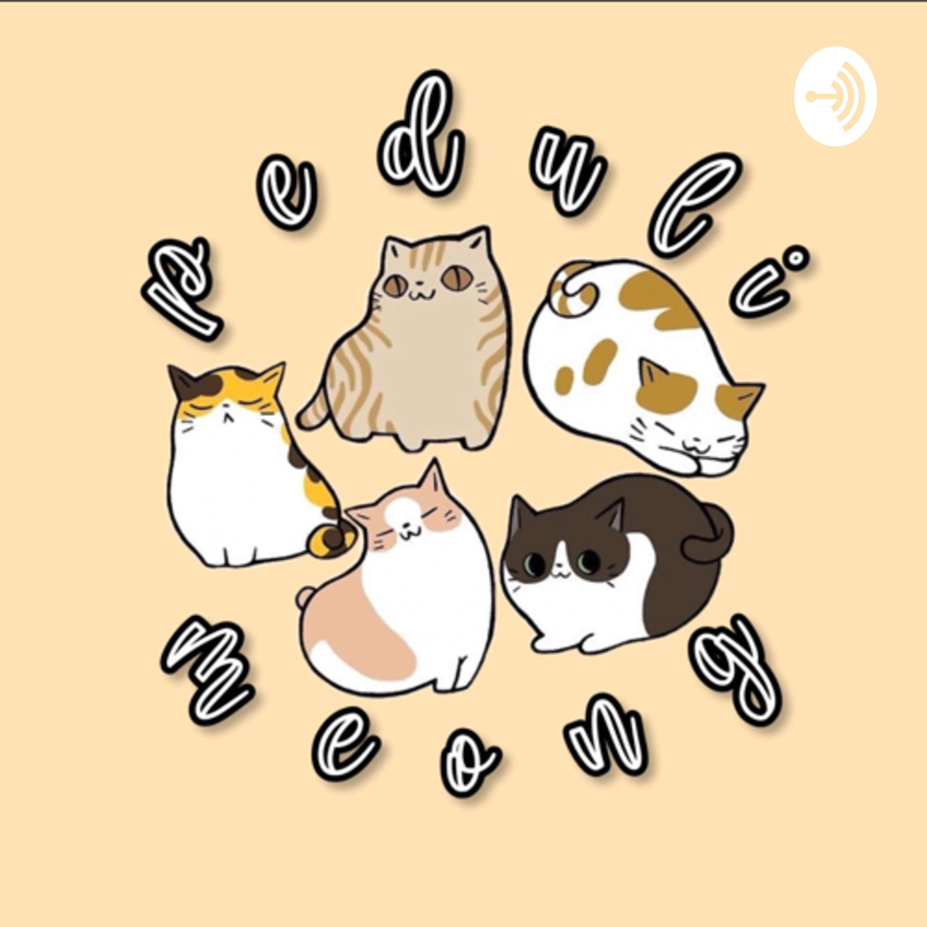 Peduli Meong
