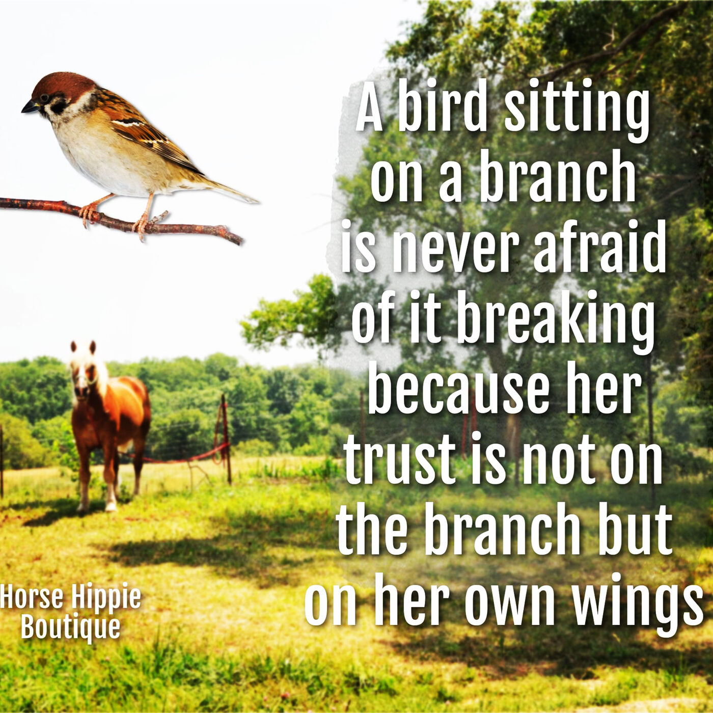 The Bird on a Branch