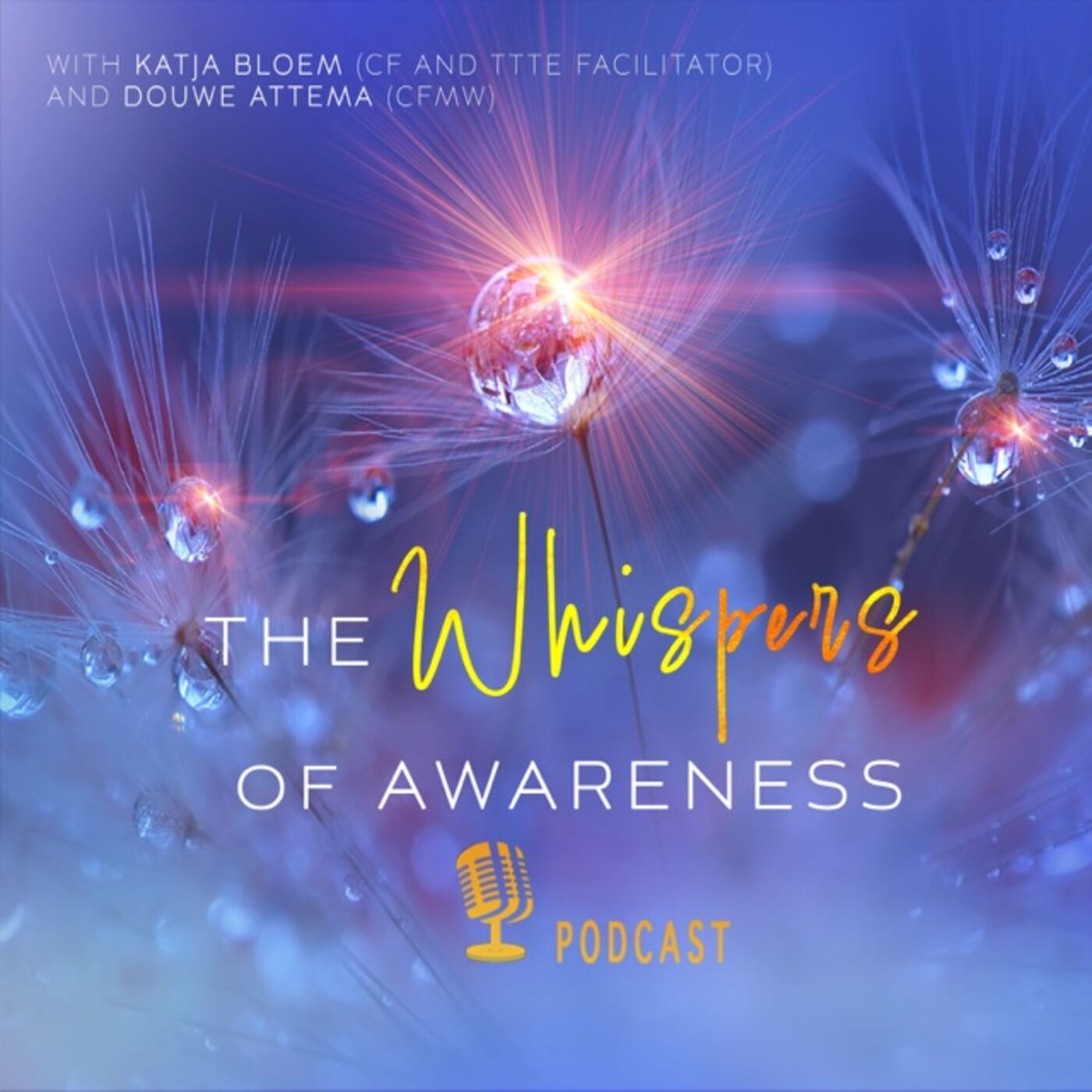 Whispers of Awareness