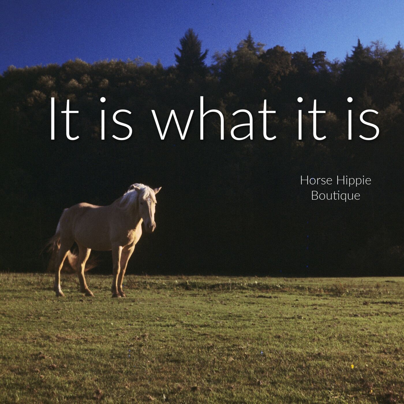 Accepting Things As They Are