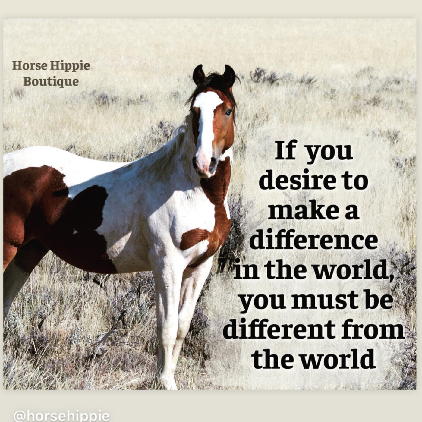 Dare to be Different