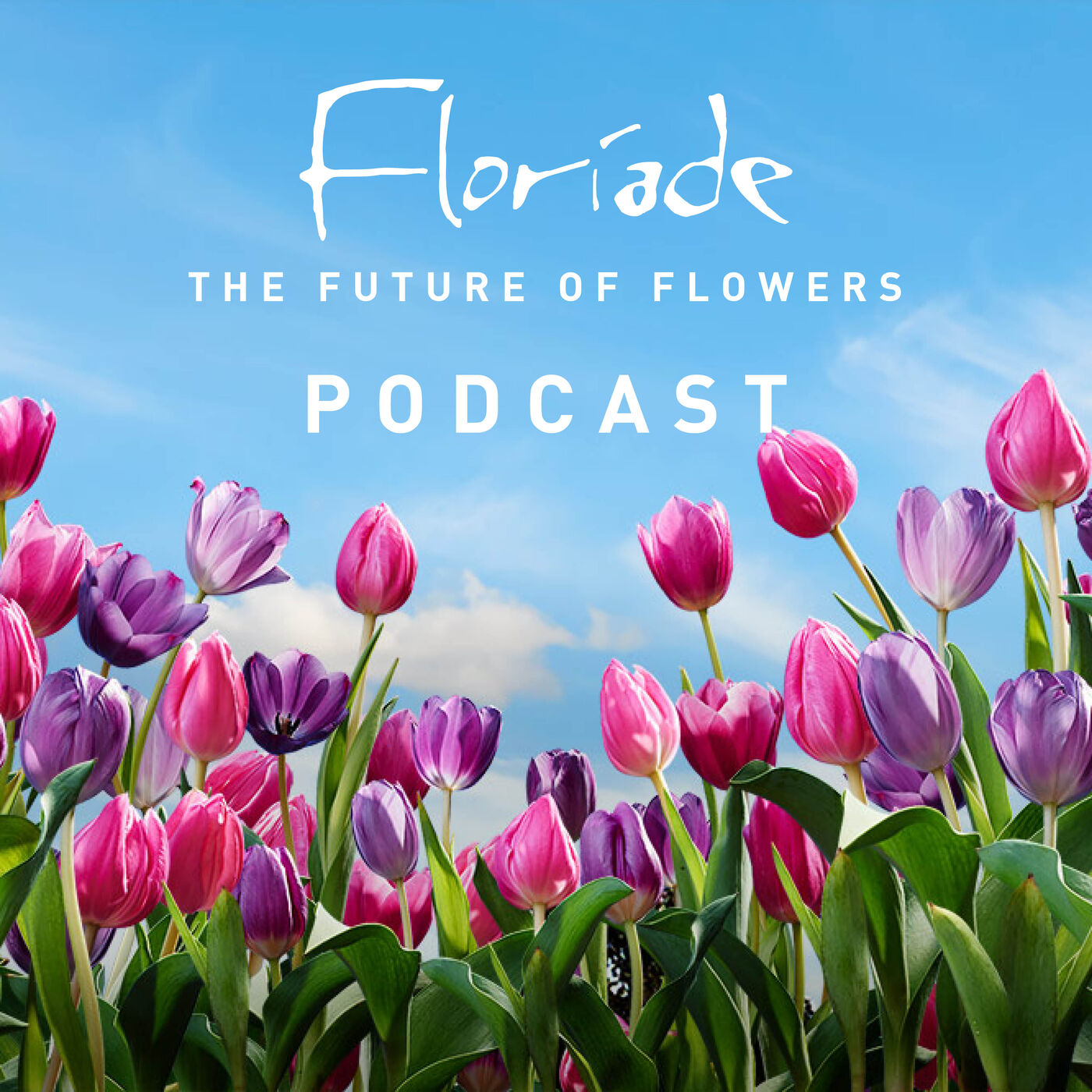 Floriade: Reimagined
