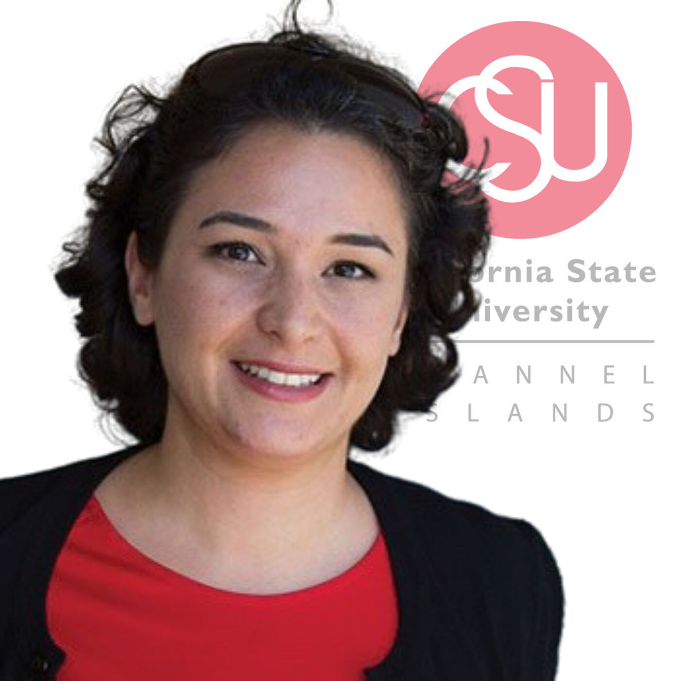 The Stakeholders Podcast