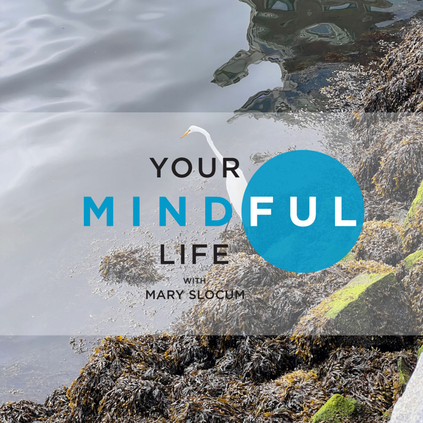Your Mindful Life