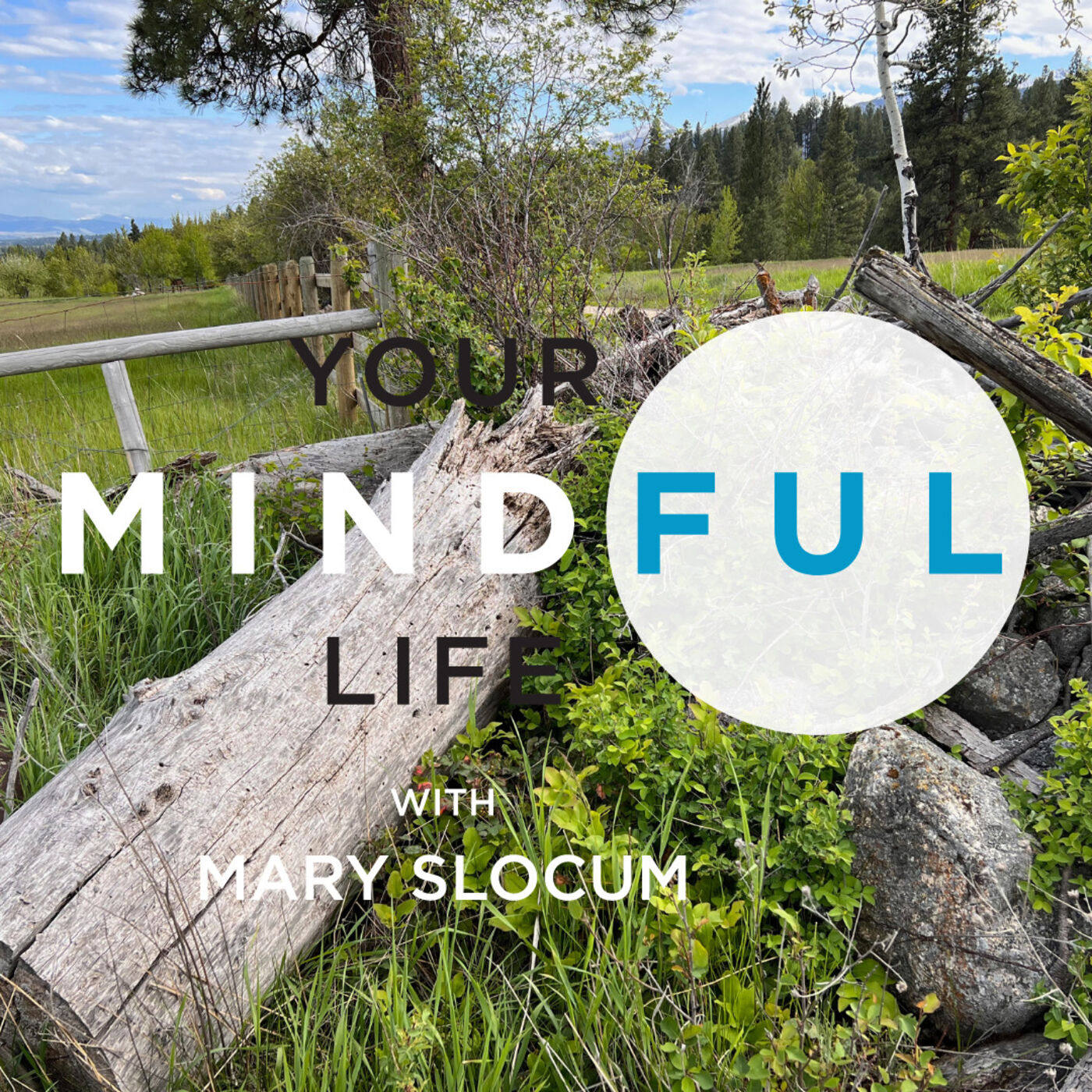 Your Mindful Life