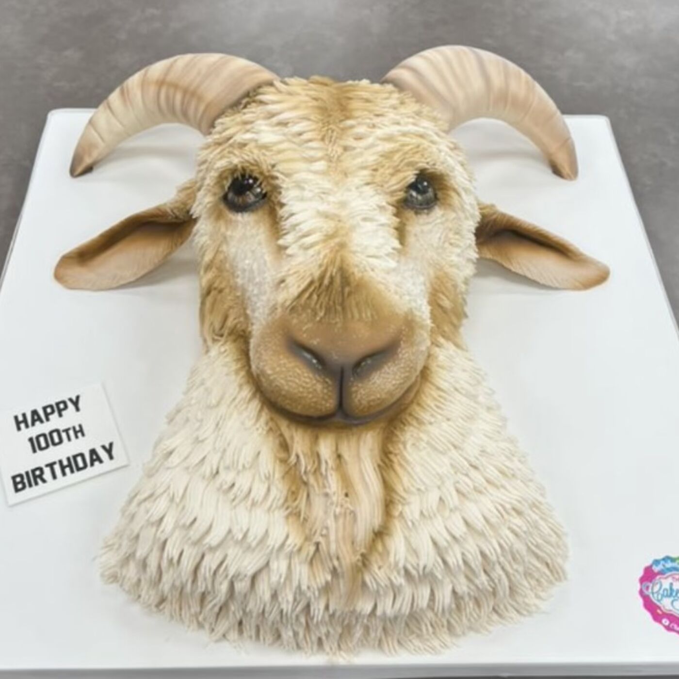 JD TALKIN SPORTS #1077